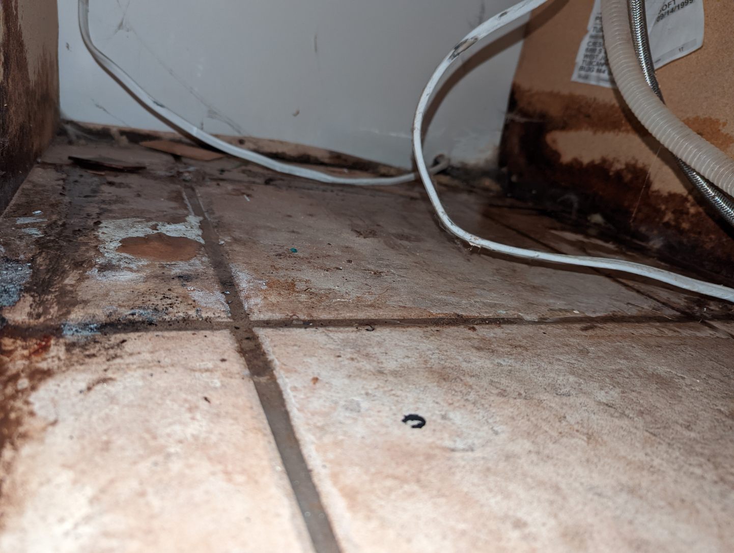 Image of an air purifier in a basement setting, suggesting a solution for musty smells and mold issues. Relates to basement mold cleaning repair and improving air quality.