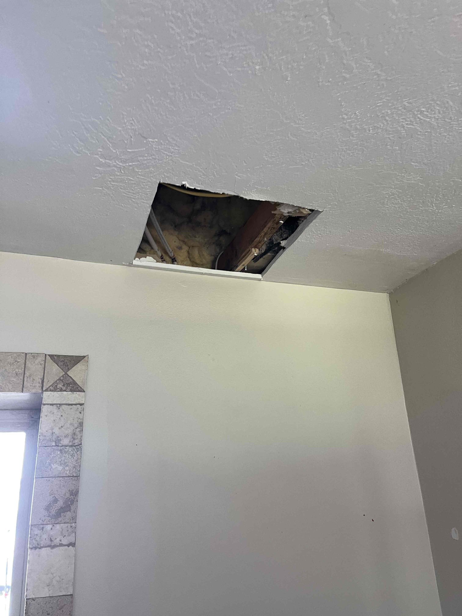 Residential hot water system. Ensuring clean, odor-free water is crucial for home comfort and safety. Explore water conditioner reviews for optimal water quality and learn about professional residential water damage odor removal services to protect your home from potential issues.