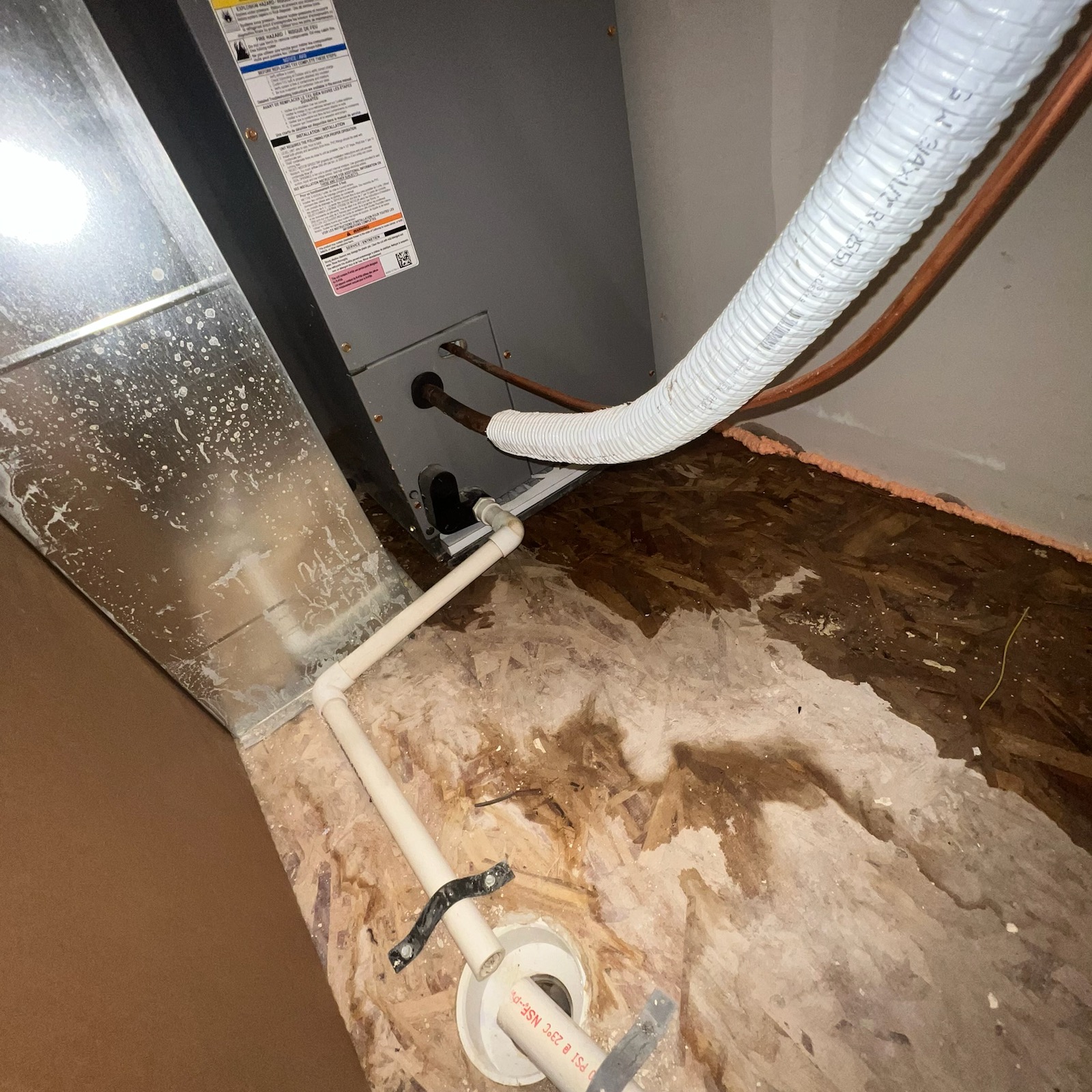 Dust collectors in a wood shop are like flood insurance: they protect against a specific, potentially devastating event. Just as flood insurance is separate because standard policies don't cover flood damage, a dust collector provides specialized protection against harmful wood dust. Both are crucial investments for mitigating risk and ensuring a safe environment, whether it's your workshop or your home.