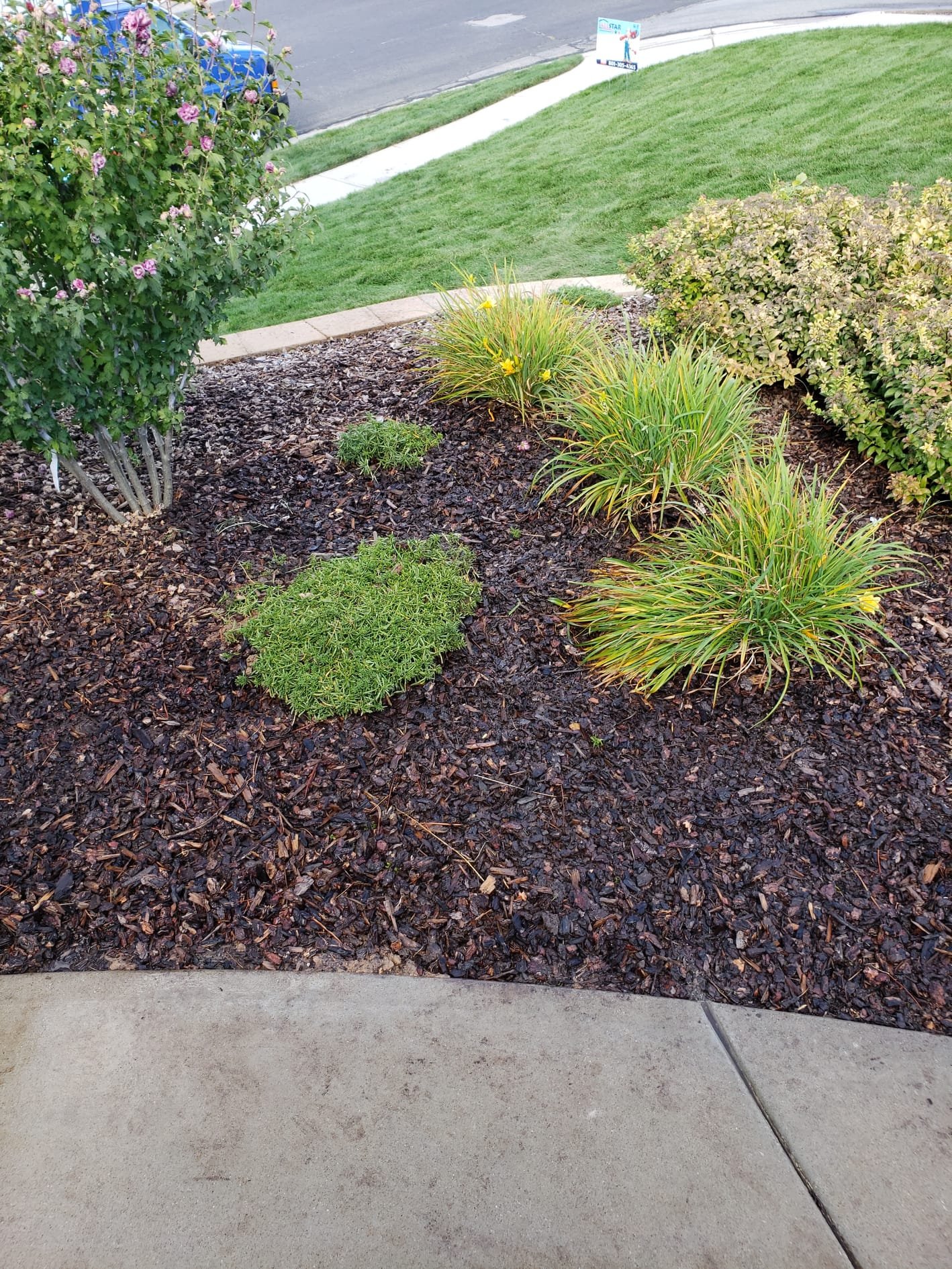 Grease trap pumping, essential for preventing messy backups and costly basement ceiling water damage repairs. Regular grease trap emptying avoids plumbing disasters.