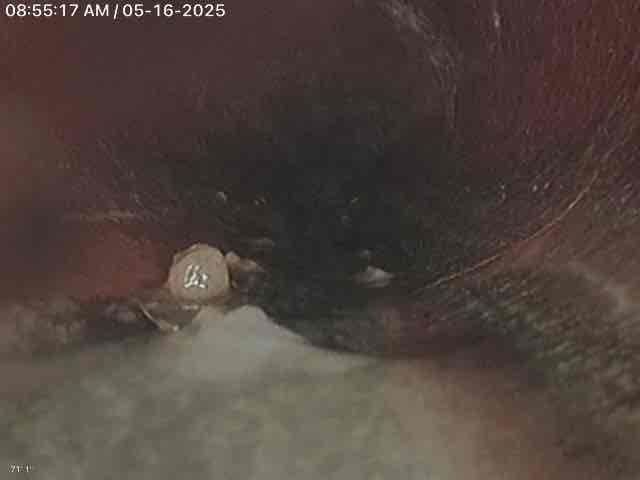 Drainage cleanout access point for preventative drain maintenance and French drain maintenance, ensuring proper water flow and preventing clogs.