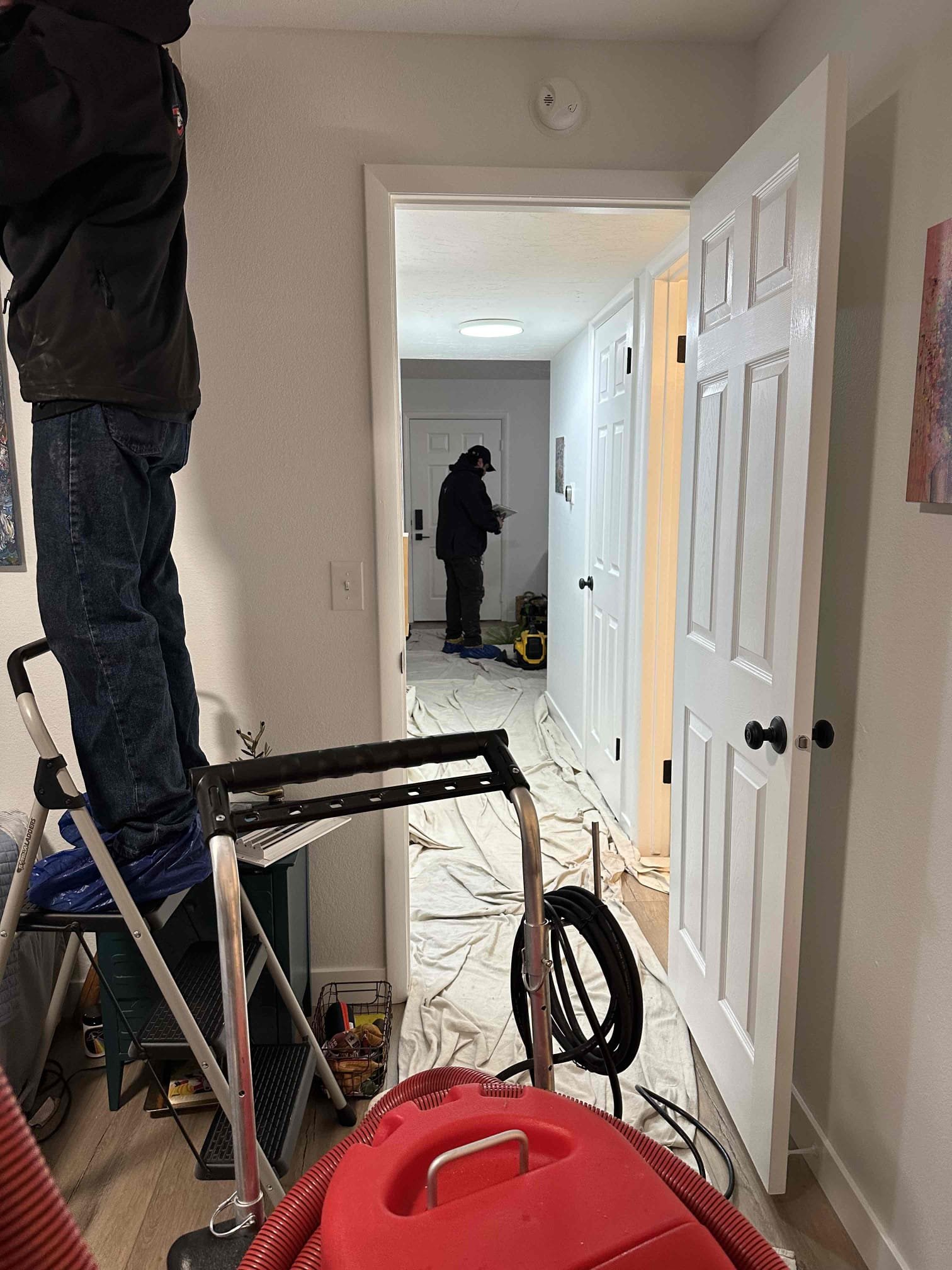 Image depicting a professional deep cleaning service, highlighting solutions for clogged garbage disposals and offering disaster cleaning estimates. Focus on a spotless, sanitized environment achieved through expert cleaning techniques.