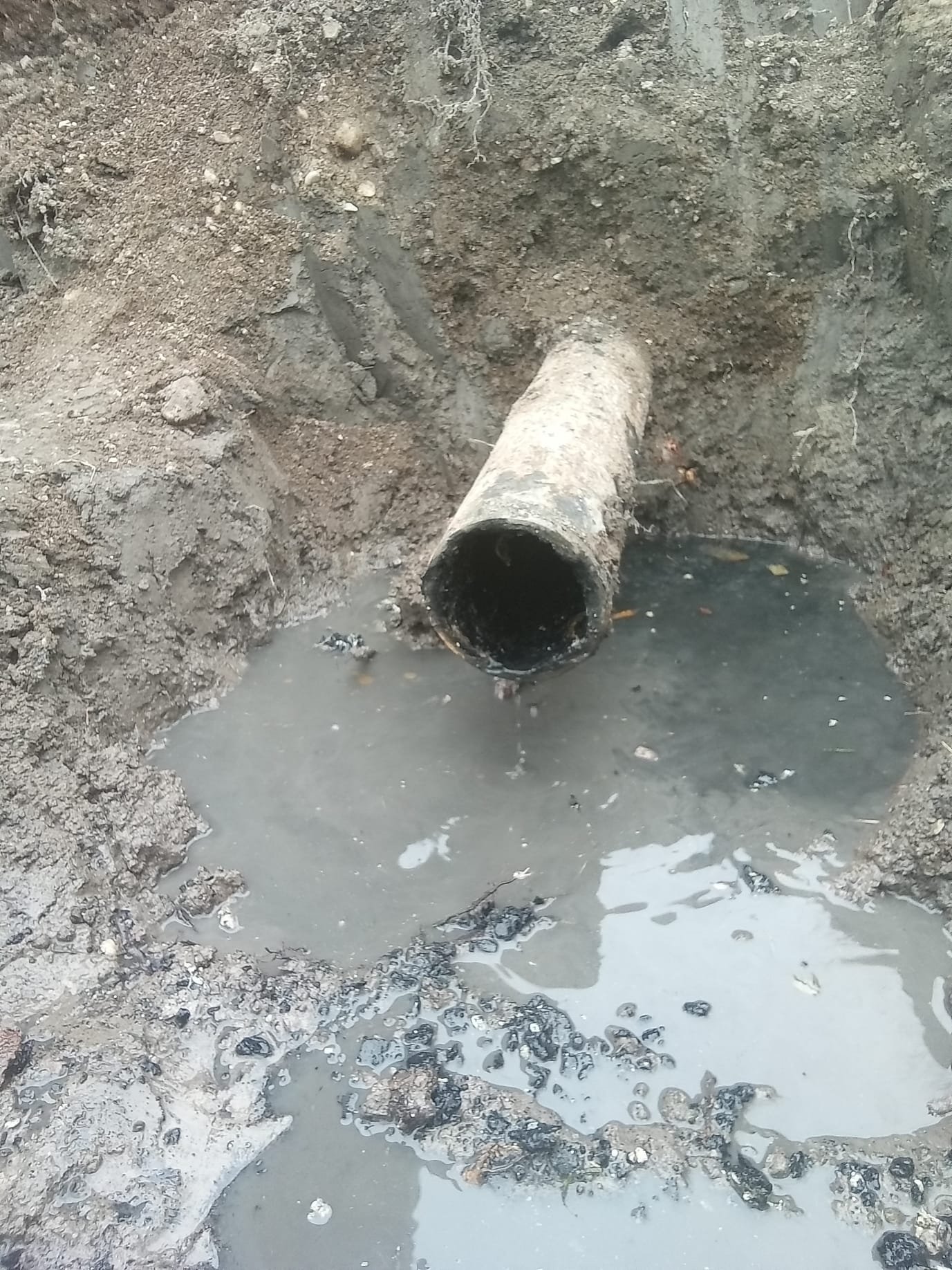 Image depicting solutions for commercial sewage backup odor removal, related to wastewater treatment odor control and repair. Focus on troubleshooting and eliminating unpleasant smells from sewage backups in commercial settings.