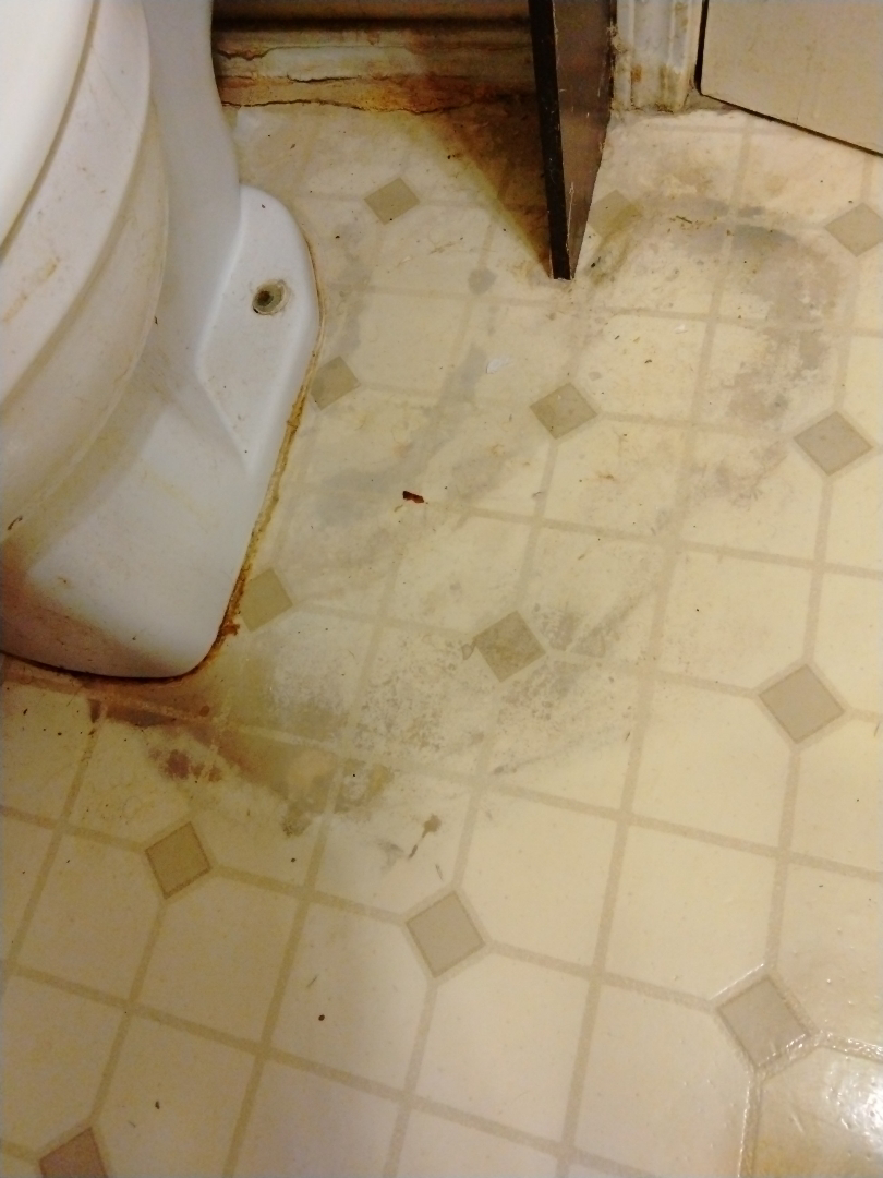 Emergency plumbing repairs are essential for preventing water damage and ensuring home comfort. Addressing issues like leaky pipes promptly is crucial, especially before scheduling a furnace tune-up. Timely pipe repair safeguards your home's heating system and prevents costly damage.