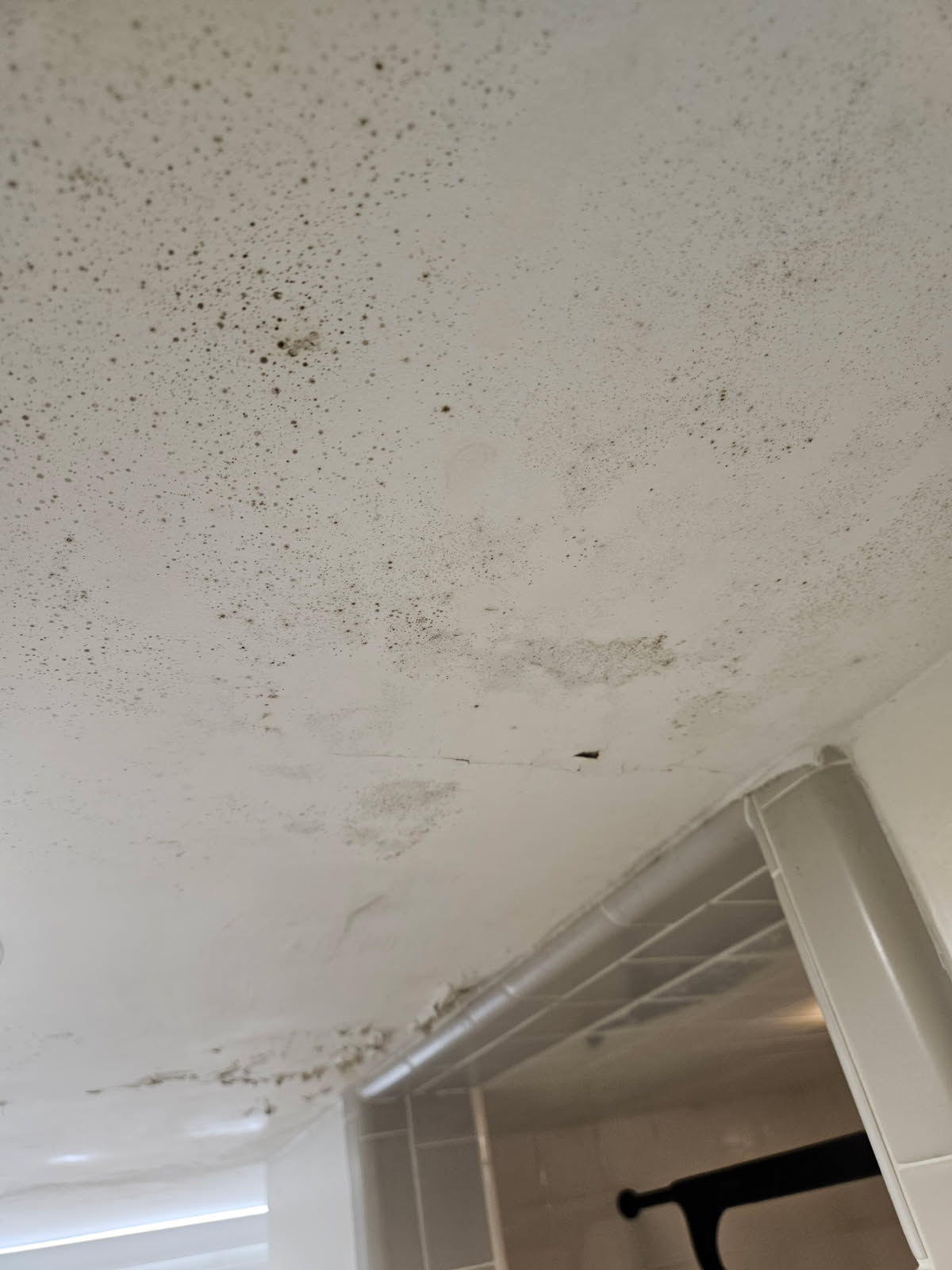 Image of a Washington Terrace, Utah basement being professionally cleaned after water damage. Local company specializing in basement water cleanup near you. Get a quote for basement water damage cleanup pricing in the Washington Terrace area. Fast, reliable service restoring your home.