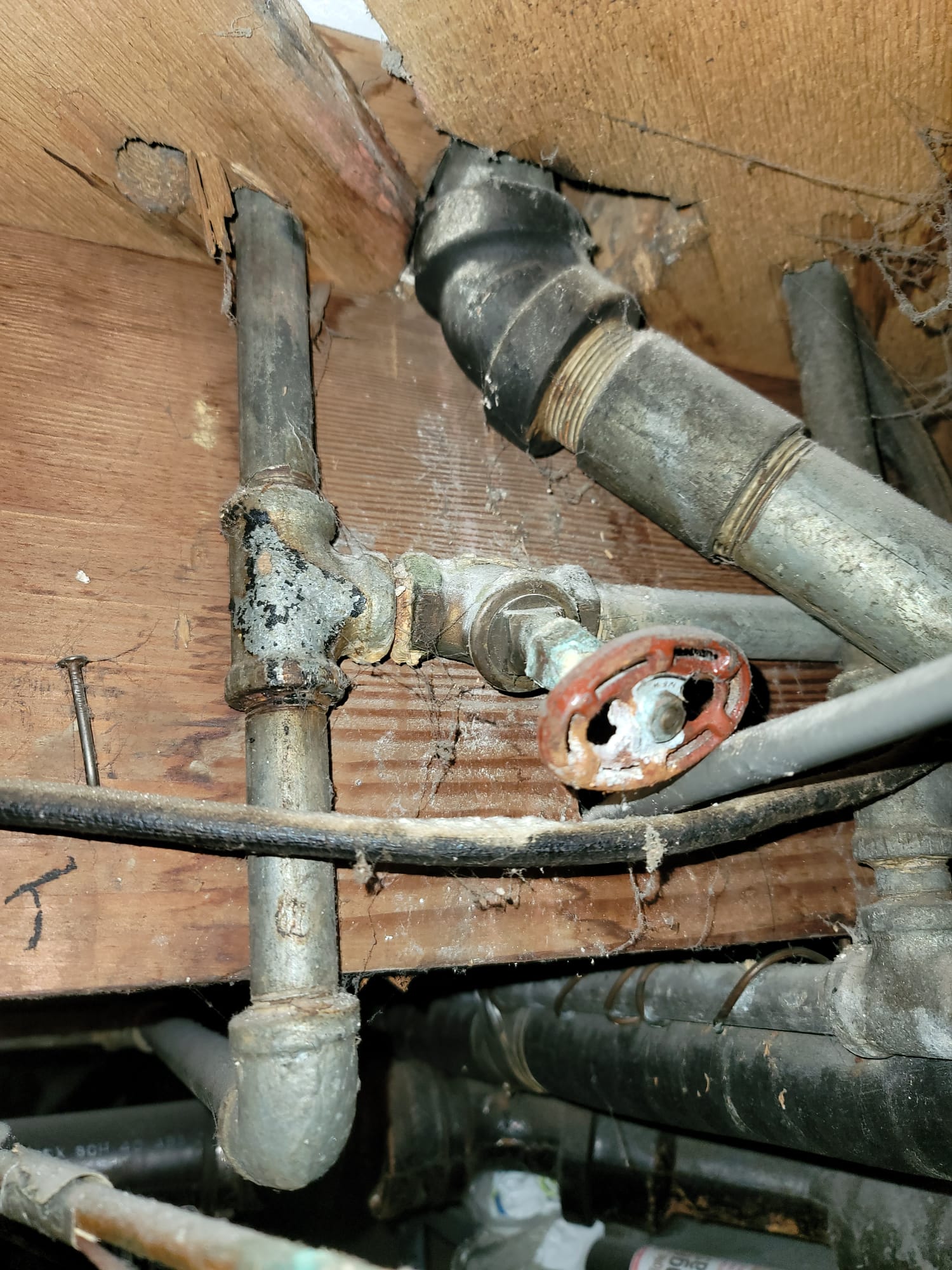 Image of a bathroom smell remover product, designed to eliminate bathroom odor. Promotes a fresh and clean scent, acting as the best bathroom odor eliminator.