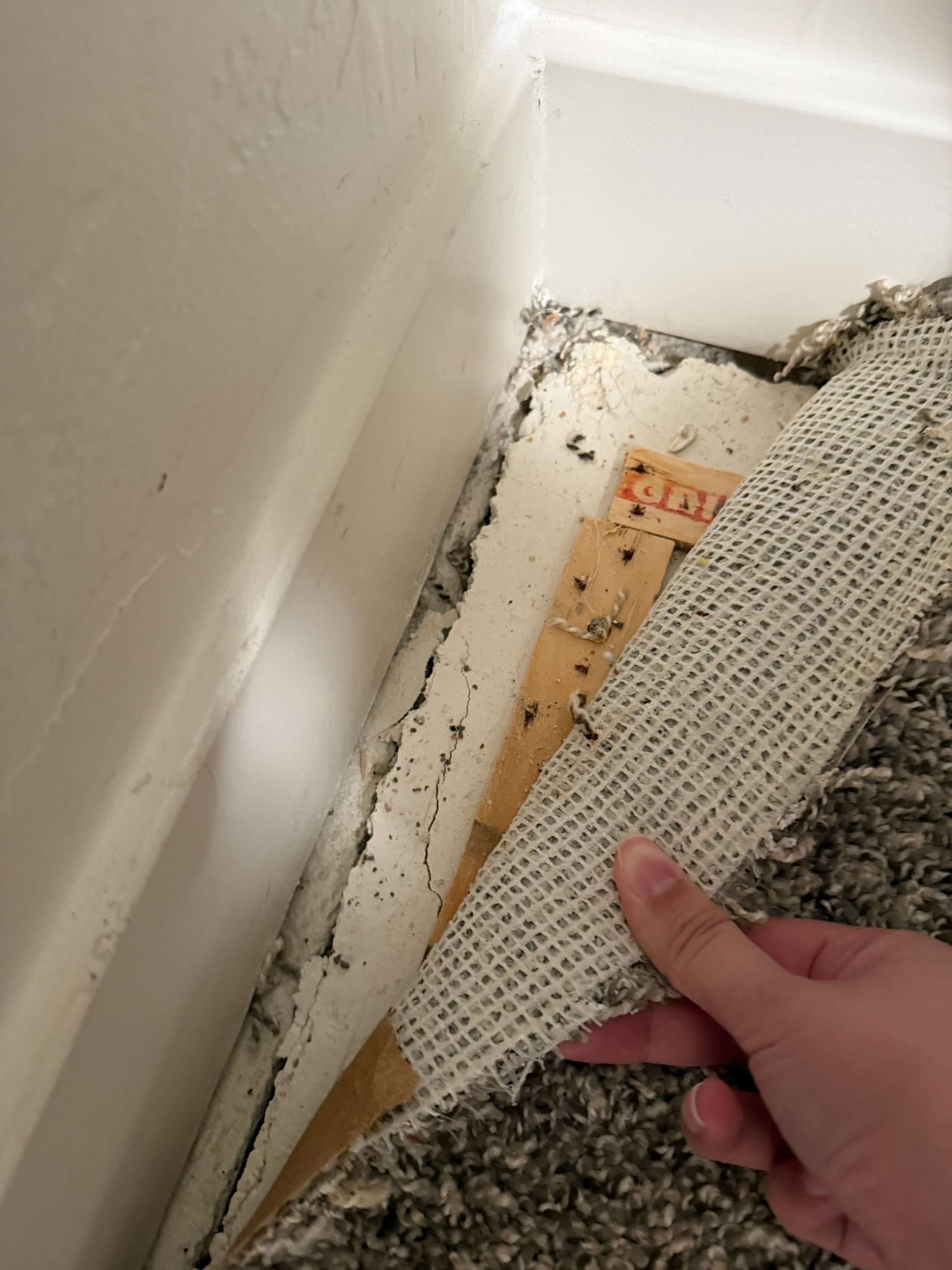 Large water softener system installed in a basement, relevant to basement water damage remediation and maintenance services, ensuring protection against water damage.