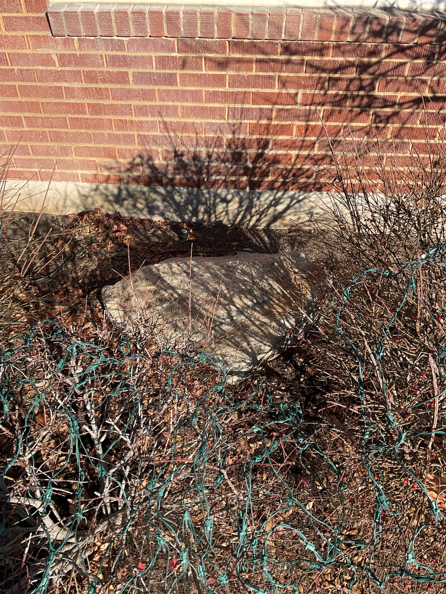 Image depicting drywall remediation, showcasing water damage repair. Focus on restoring walls affected by water, highlighting services for drywall water damage remediation and repair.