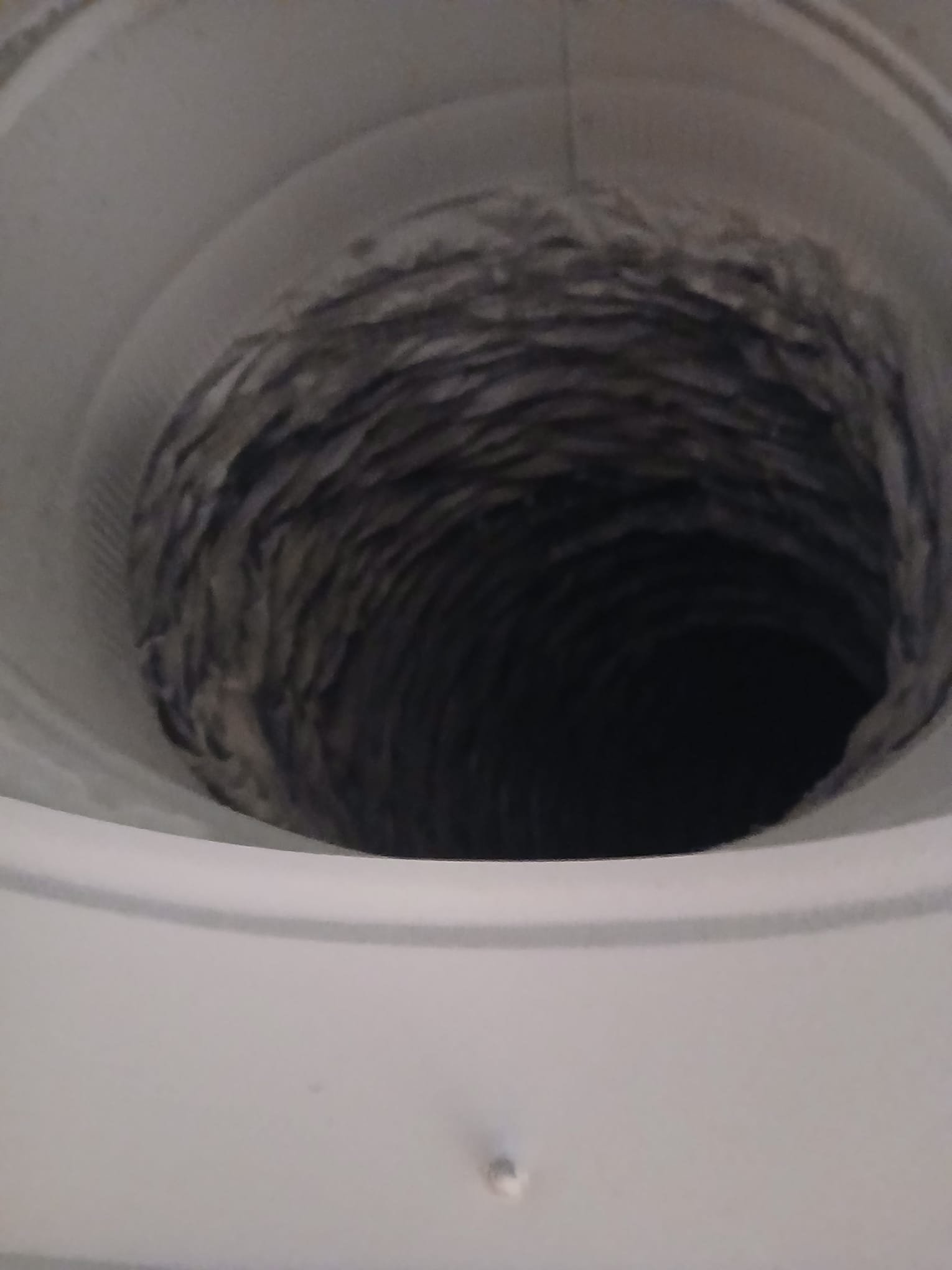 Image related to mold removal services in Cleveland, potentially showing professionals performing toxic mold remediation or highlighting the risks associated with DIY mold removal attempts. Focus is on safe and effective mold solutions.