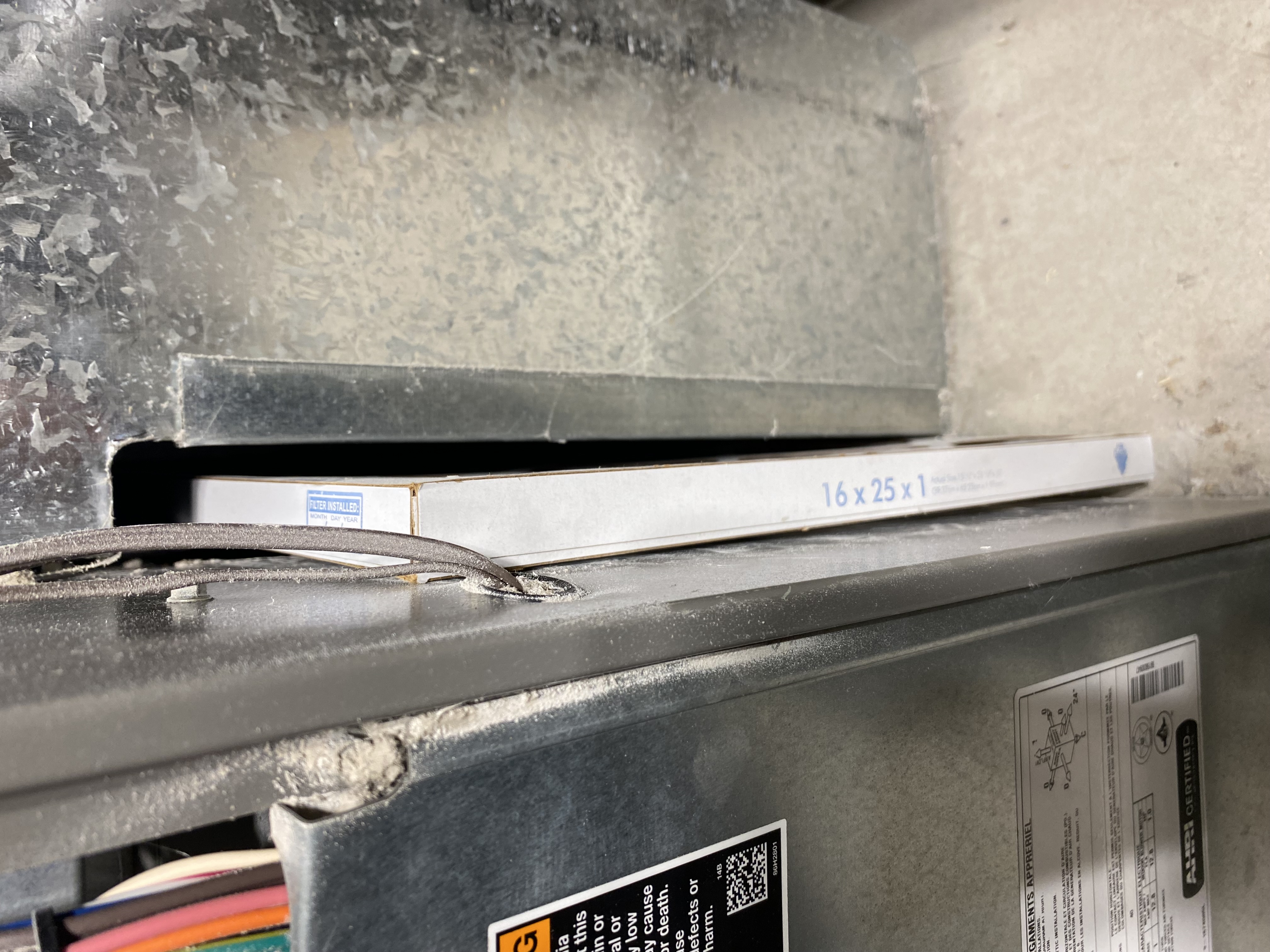 Concerned about toxic mold in your home? This image represents professional mold removal services, specializing in toxic mold removal and mold odor removal. Find trusted local experts to ensure a healthy indoor environment.