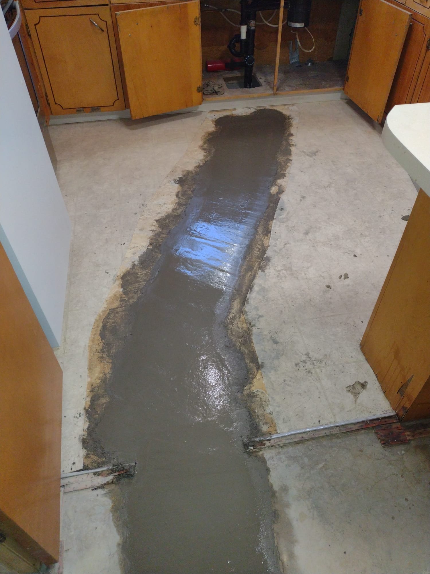 Water damage is visible on a basement ceiling, with mold growth around a ceiling vent. This image highlights issues related to basement ceiling water damage, indicating a need for inspection and repair services to address leaks and prevent further mold development. Similar to basement ceiling water damage service 4, this image underscores the importance of professional intervention to resolve moisture problems.
