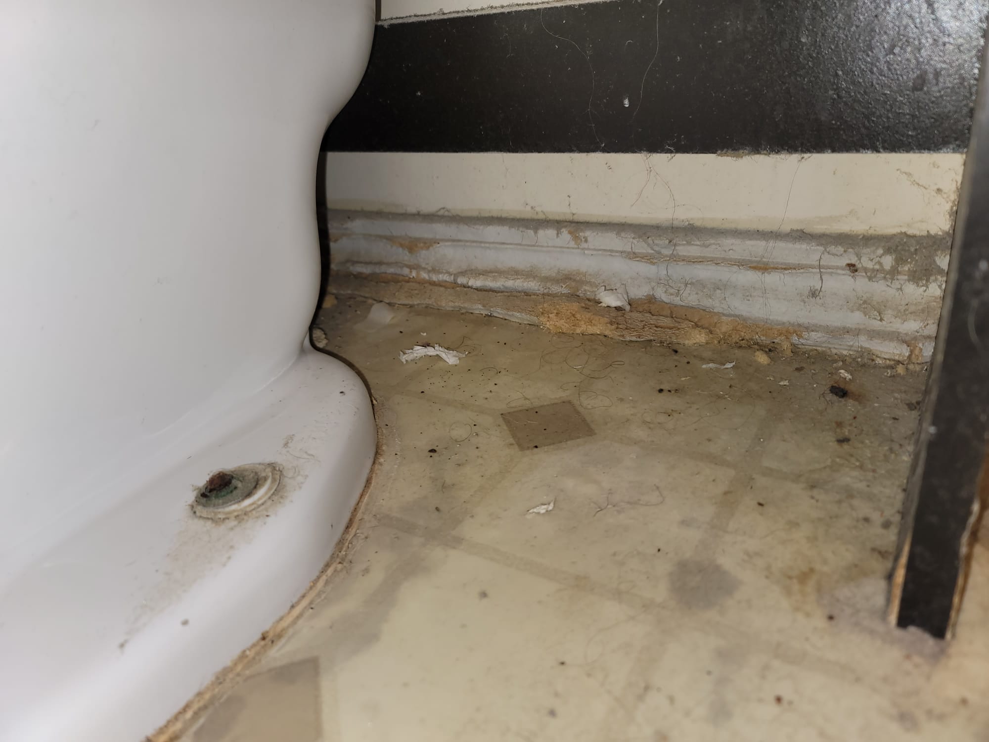 Image depicting 24-hour plumbing services. Fast response plumbers available for all your plumbing needs. Find reliable plumbing services near you, day or night.