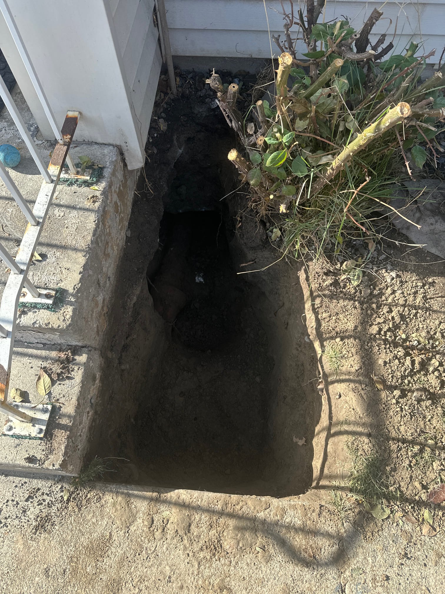 Image depicting commercial sewage backup remediation, highlighting the importance of a commercial backflow preventer to minimize costs. Useful for understanding commercial sewage backup remediation estimate factors.