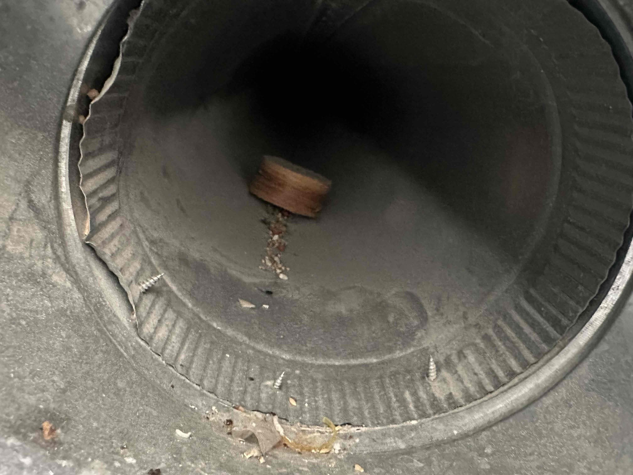 Professional mold removal services in the Twin Cities, specializing in toxic mold remediation. Similar services are available for mold removal in Kansas City (KC).