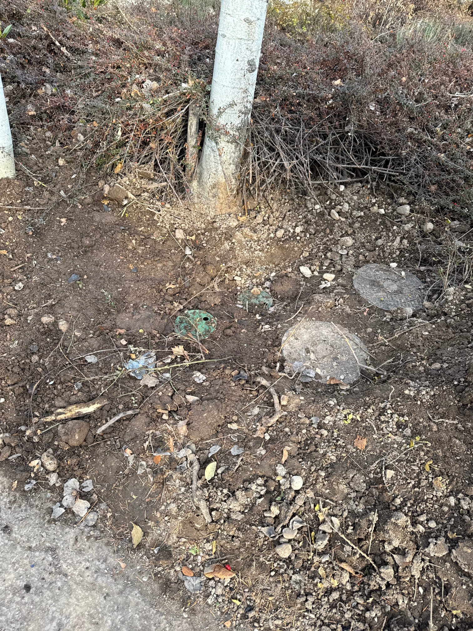 Image of a commercial hot water boiler installation. Replacing a boiler in a commercial setting requires professional expertise. Costs vary depending on the system.