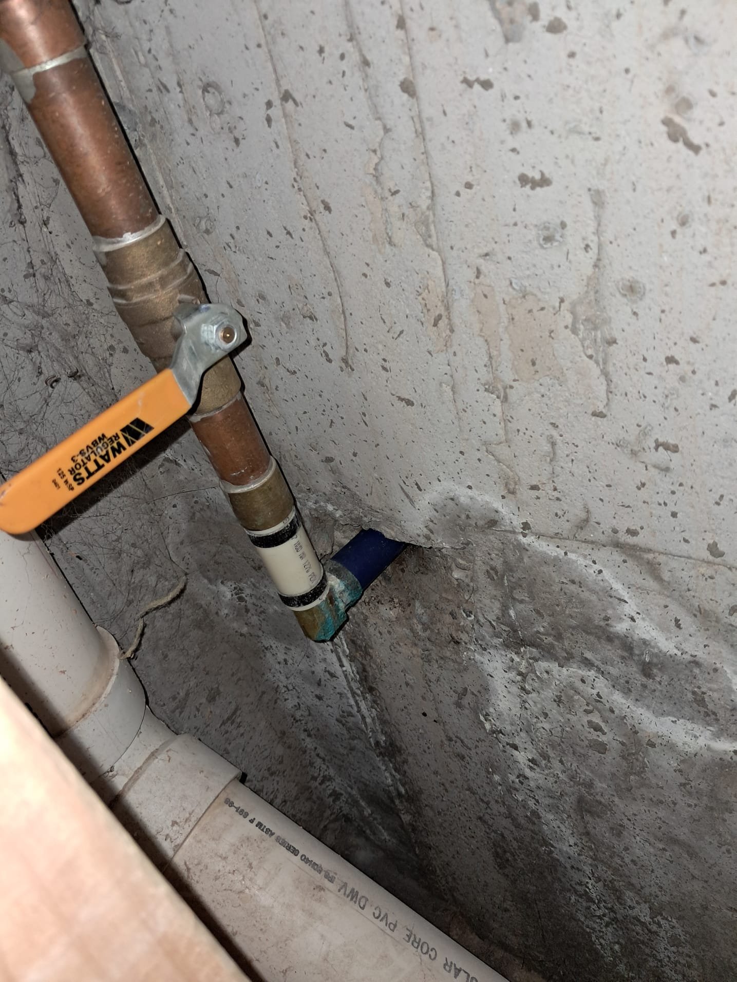 Image depicting licensed basement ceiling water damage restoration, potentially caused by a faulty water softener system for well water. Focus is on repairing basement ceiling water damage resulting from a leak, highlighting professional restoration services.