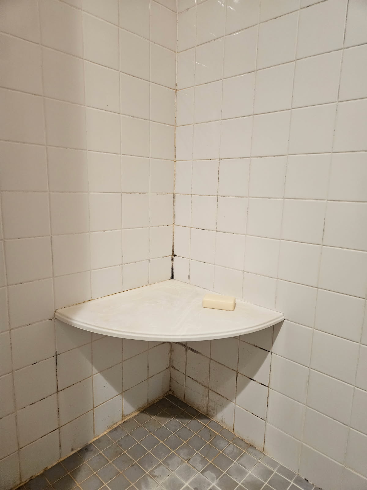 Protect your Millcreek, Utah home! Whole house water filtration and conditioning systems prevent hard water damage, reducing the need for residential water damage cleanup and repair. Enjoy cleaner, safer water throughout your entire house.