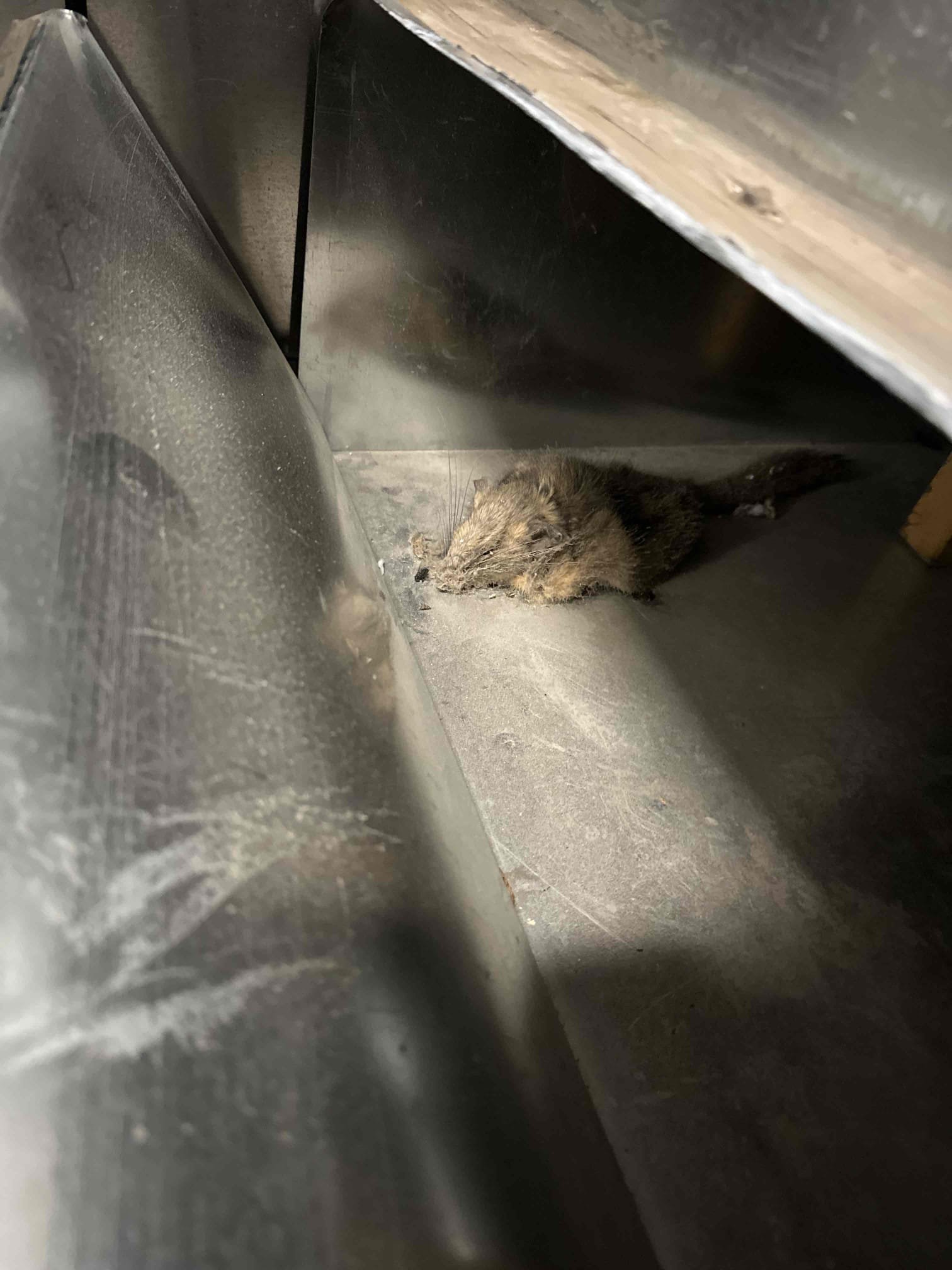 Image of an air cleaner used in American Fork, Utah, after water damage mold clean up. Searching for the best air cleaner for mold in Utah County? This demonstrates effective air purification after professional mold remediation.