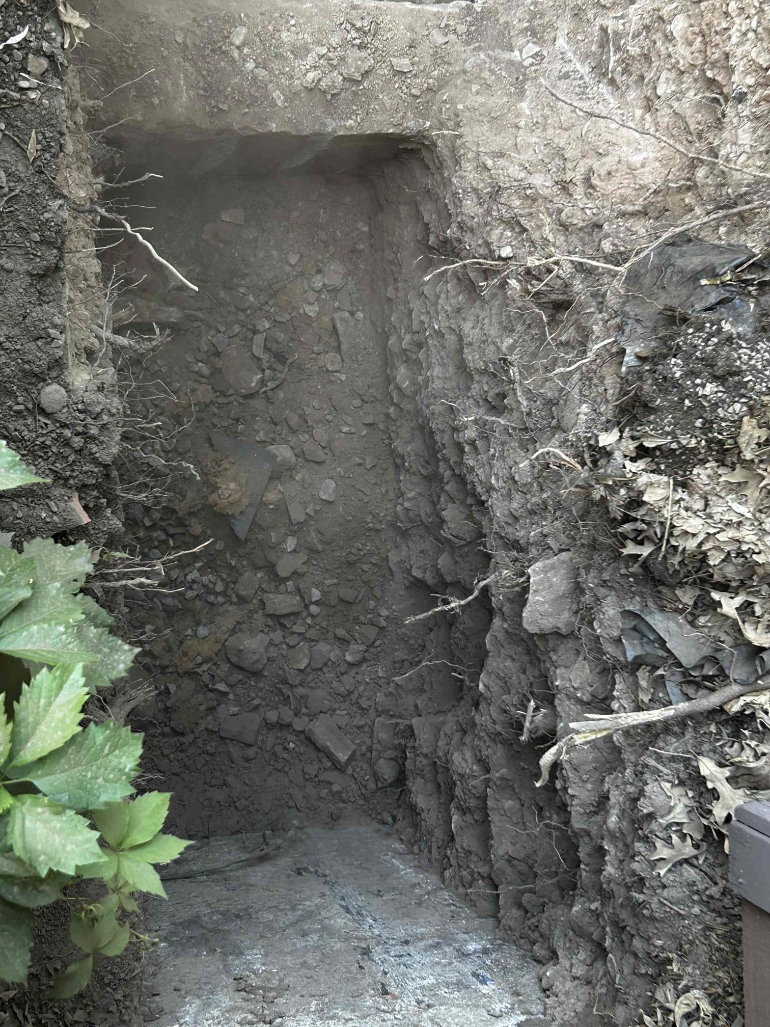 Clean, safe water for your home: A whole house water purifier ensures water quality, protecting against potential contamination that could lead to costly issues like residential sewage backups. Regular maintenance, including backflow testing, is crucial for preventing such problems and avoiding expensive restoration services.