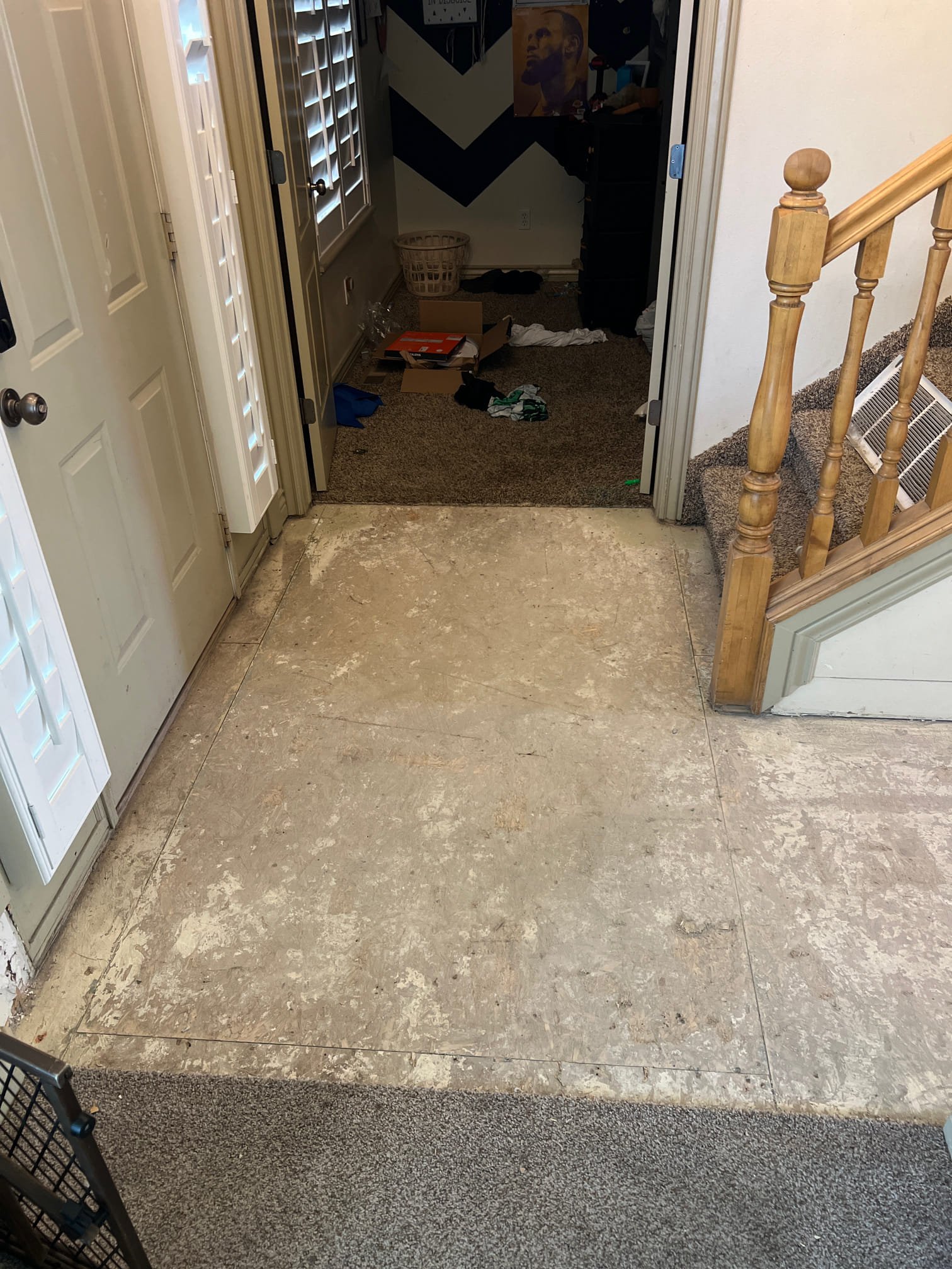 Image depicting commercial smoke restoration diagnosis, possibly related to unique risk assessment scenarios. Not affiliated with commercial snake rentals. Focus is on licensed commercial smoke restoration services and damage assessment.