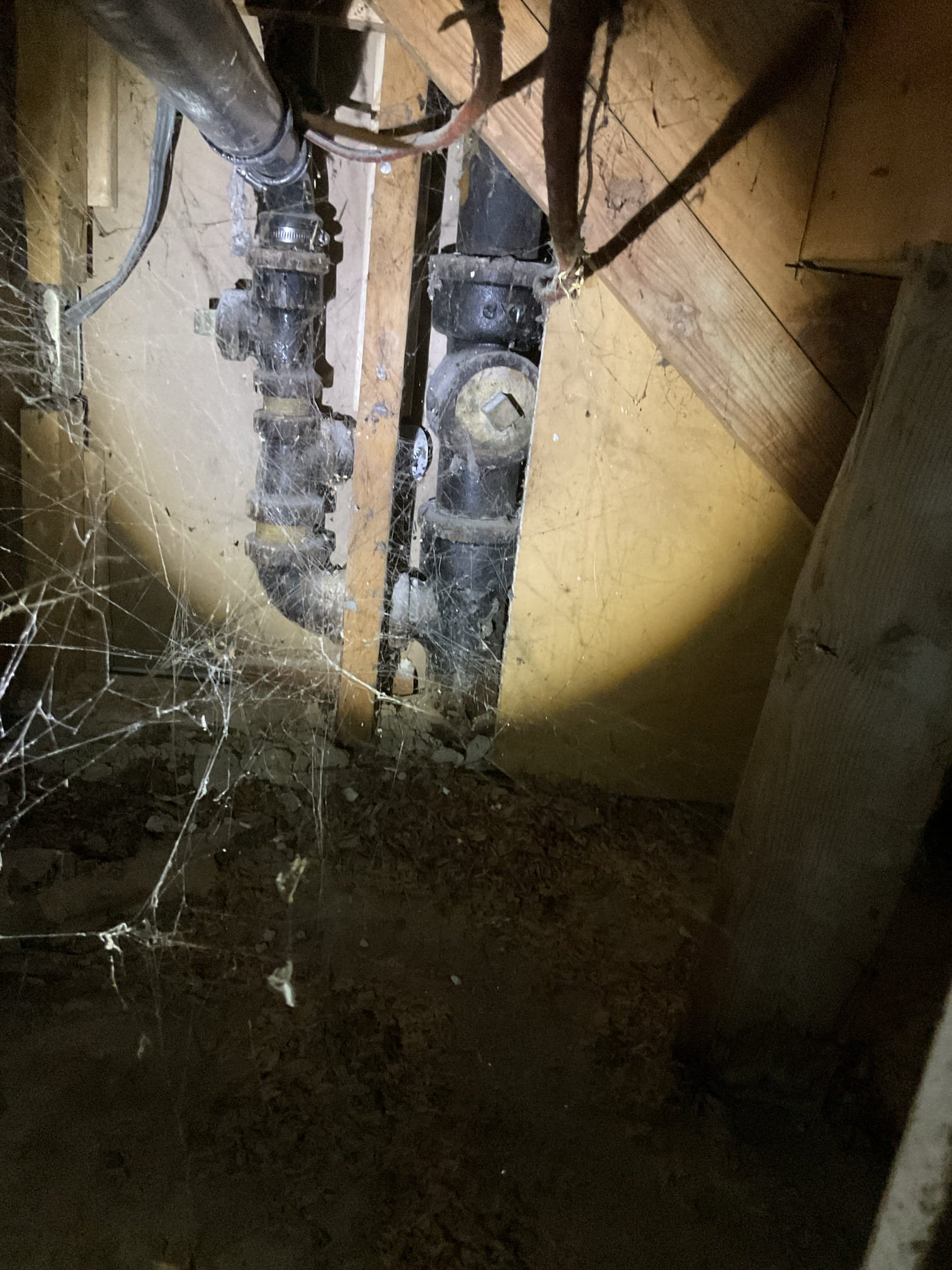 Addressing basement ceiling water damage, odor removal, and maintenance often requires considering water quality. Just as the best water conditioner for well water improves drinking water, professional basement ceiling water damage odor removal services ensure a healthy, odor-free environment after leaks or flooding.