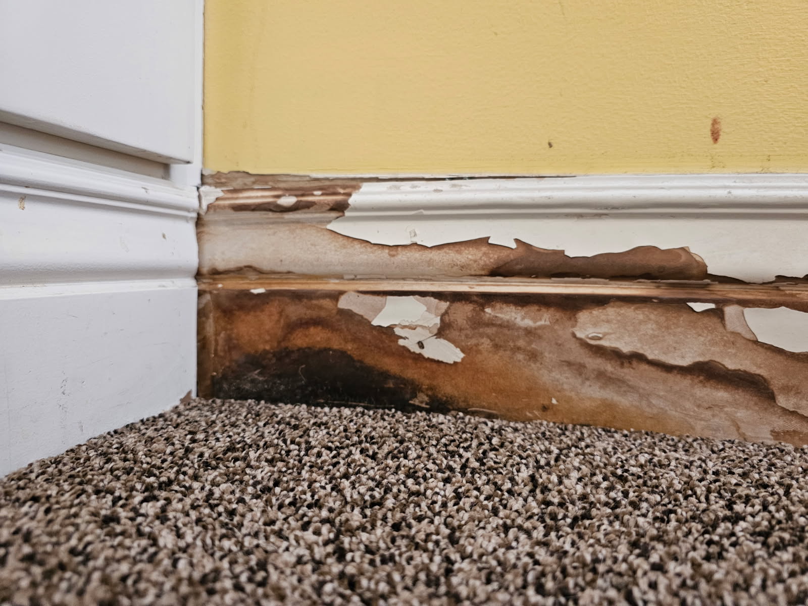 Orem, Utah: Commercial drywall water damage restoration after a water pressure house issue? We offer same-day and 24-hour emergency services to businesses in Orem and surrounding areas. Fast, reliable drywall repair to prevent further damage.