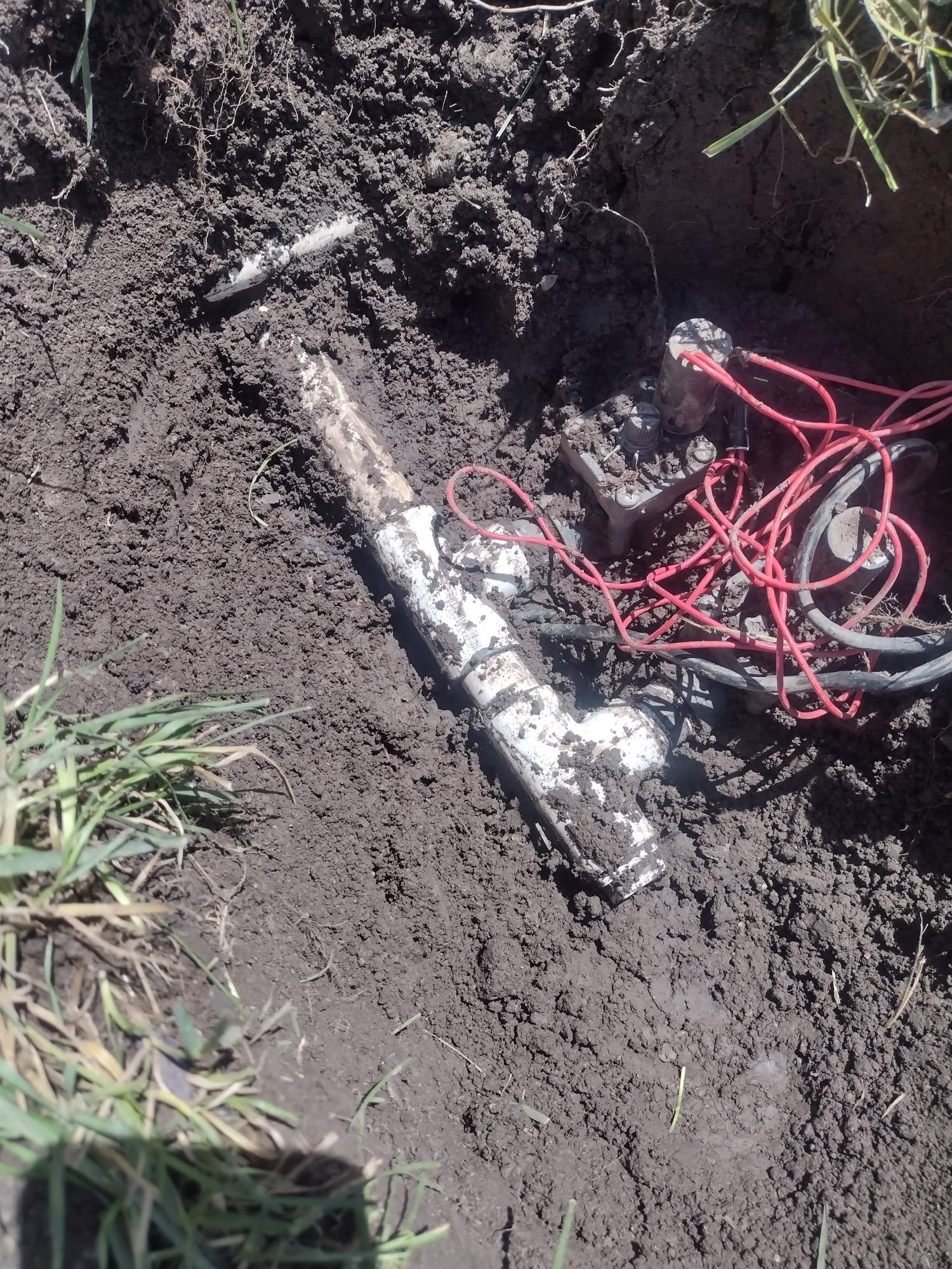 Ceiling water damage cleanup pricing can vary, especially if related to well water softener issues. Ensure proper assessment for insured ceiling water damage cleanup to handle potential contamination effectively.