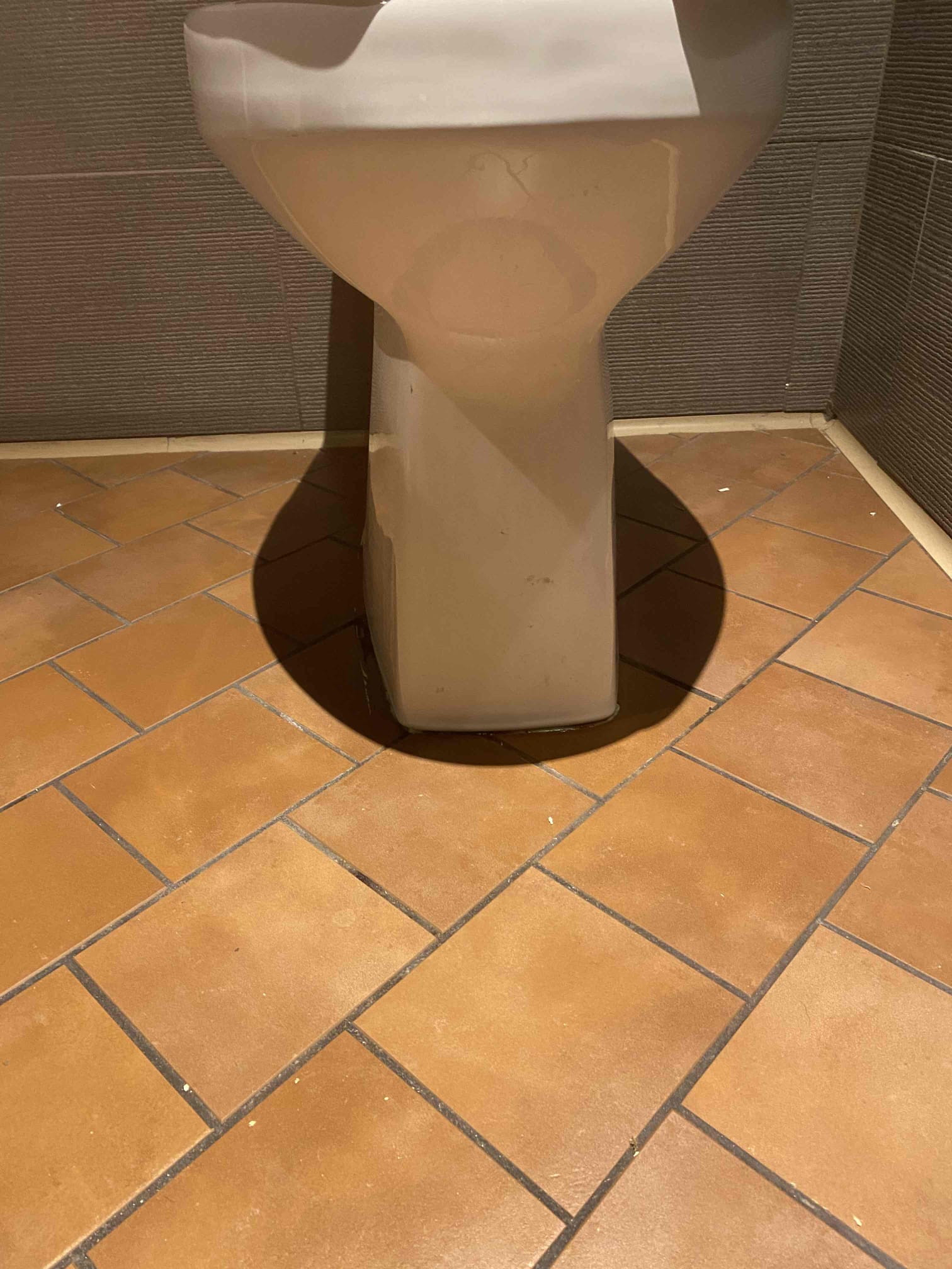 Close-up of plumbing tools near a toilet, representing the question of whether liquid plumber can effectively clear toilet clogs, versus using a plumber's toilet snake. Highlights DIY plumbing solutions and professional alternatives for toilet maintenance.