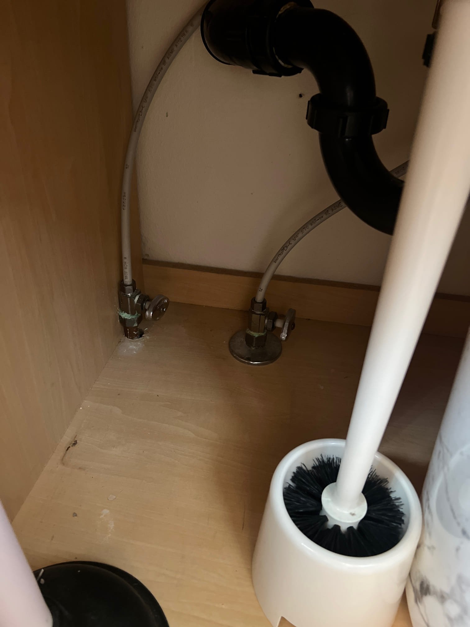 Drying a damp basement is crucial for preventing mold growth and eliminating musty odors. Consider professional basement mold cleaning services to ensure a healthy, odor-free home environment.