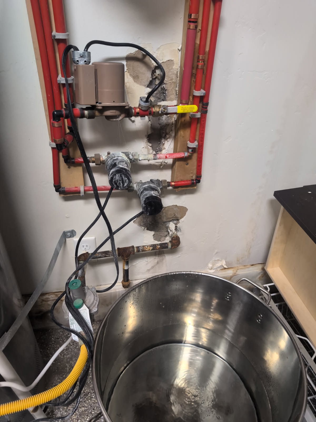 Image of mold damage, often raising questions about insurance coverage for mold remediation. Addressing mold requires a licensed commercial mold damage expert for proper assessment and removal.