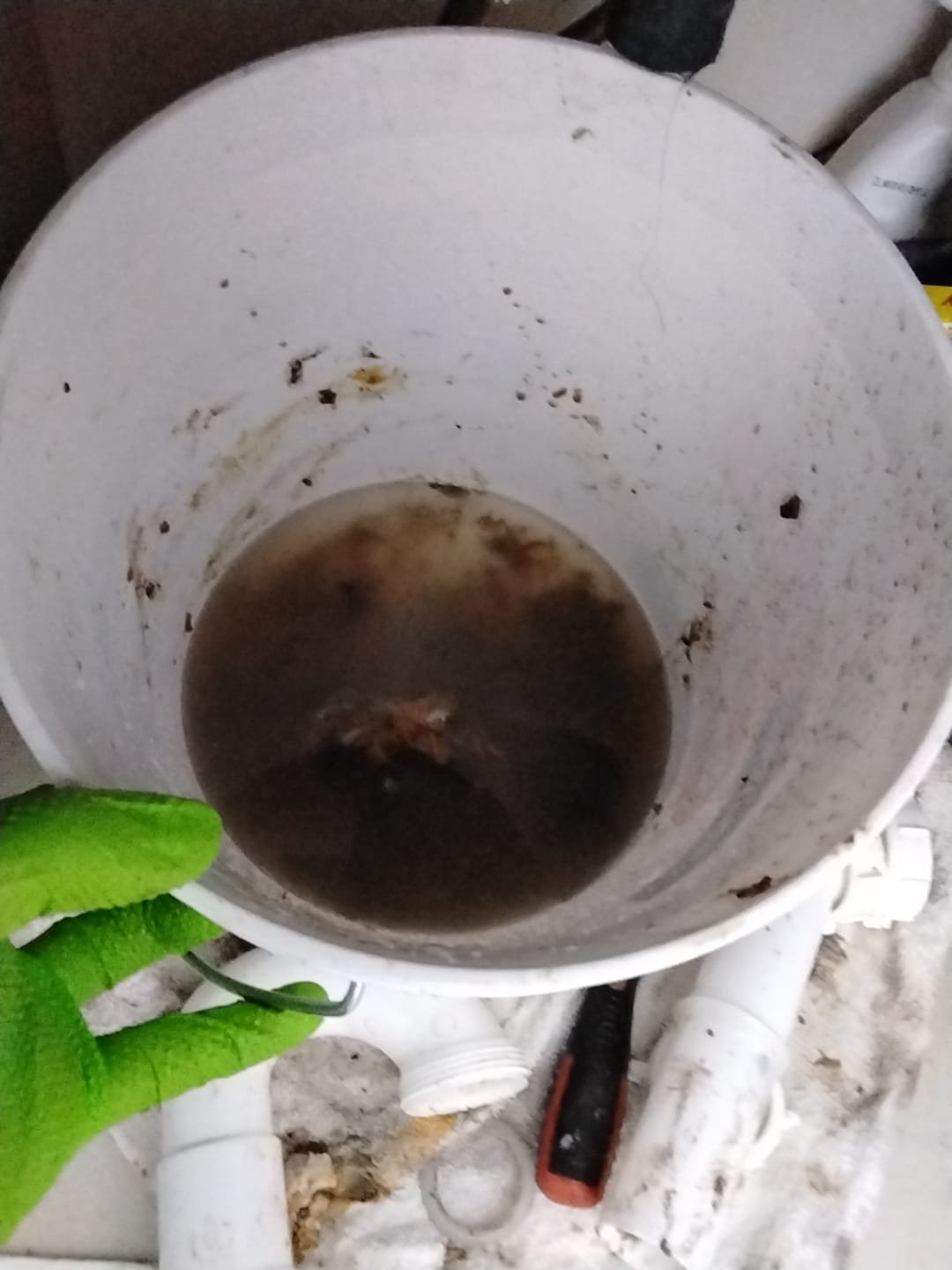 Professional commercial bathroom mold cleanup in Springville, Utah. Addressing mold issues beyond baking soda sink solutions. Expert service ensures a healthy environment for your Springville business.