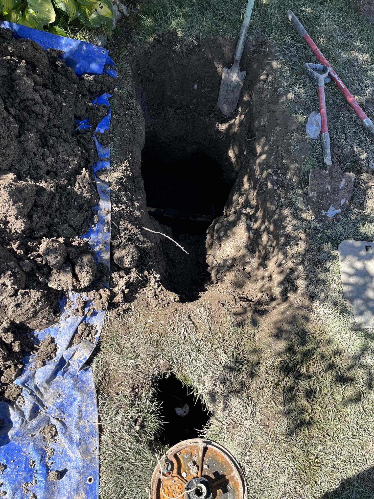 Clogged drains and vents can lead to poor air quality in your basement. Just like grease clogs in pipes, dirty vent covers and a malfunctioning air cleaner restrict airflow, impacting overall air quality. Regular cleaning and maintenance are essential for a healthy home environment.