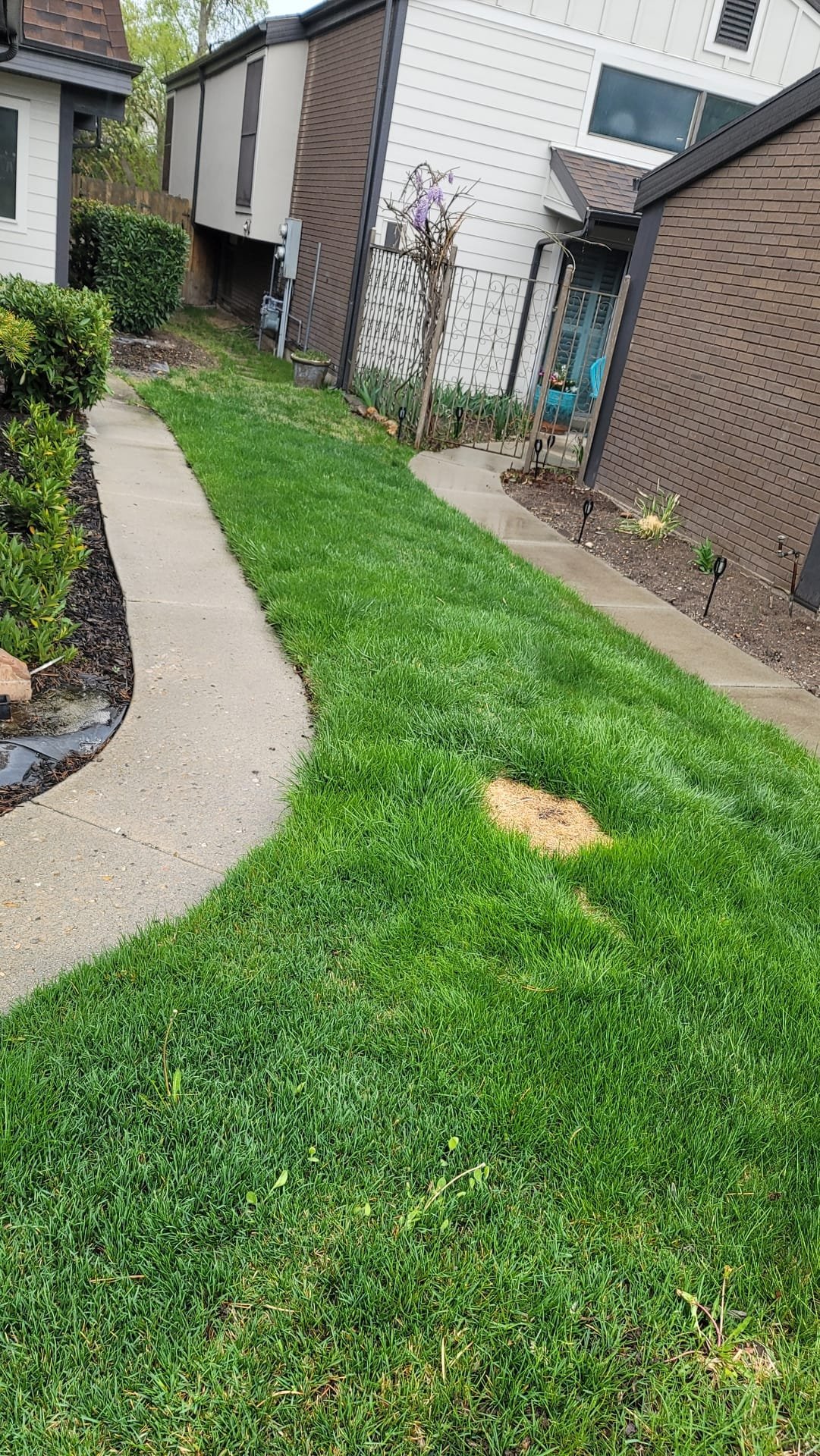 Emergency drain services in Woodland Hills, Utah. Fast response for clogged drains and urgent drain cleaning. Call now for immediate help!