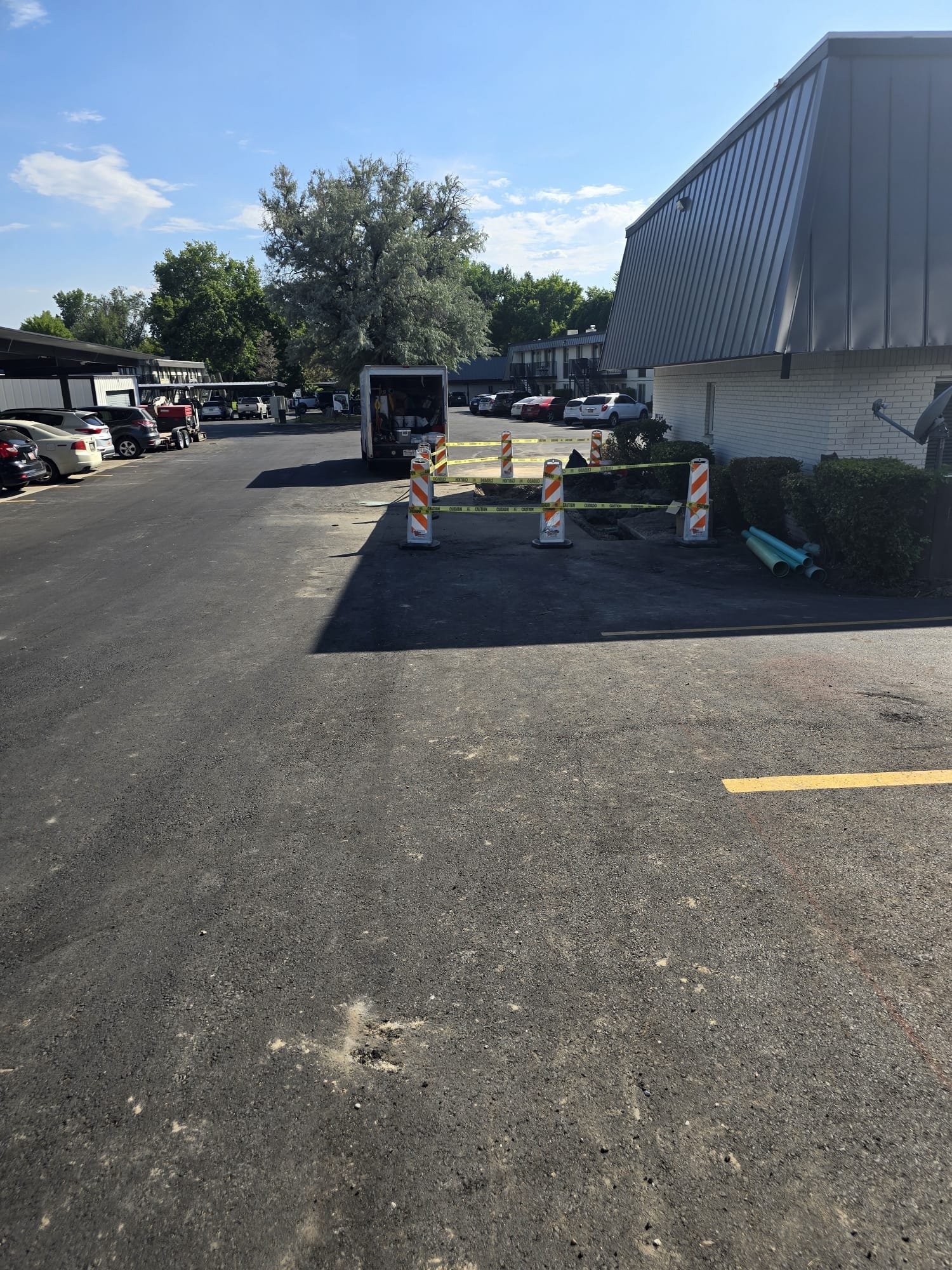 Mold abatement services in San Francisco addressing basement mold damage. Image may depict professionals wearing masks for mold remediation, ensuring safety during licensed mold removal.