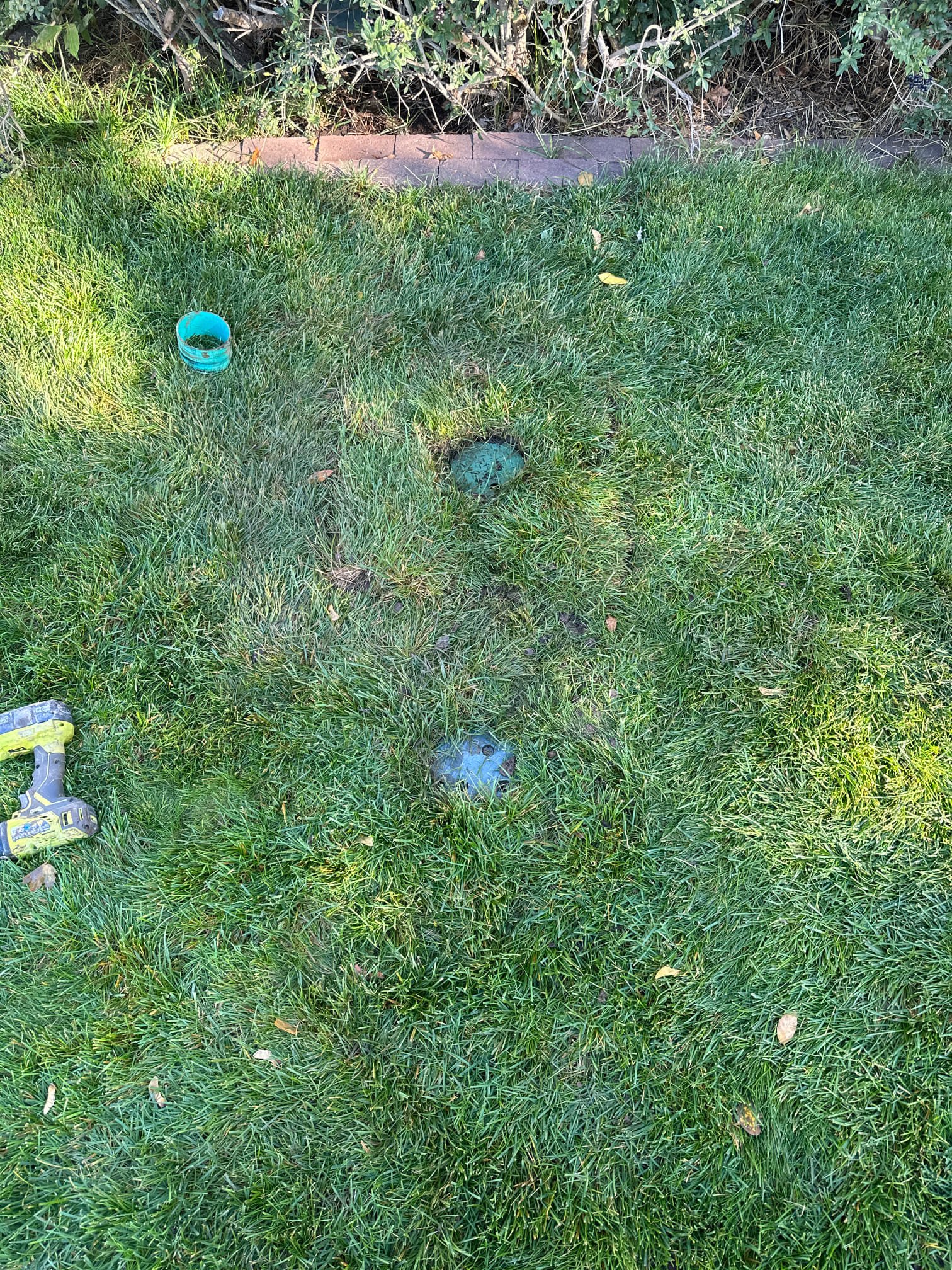 Dealing with home maintenance? Learn how to remove mold from drywall, similar to the precision needed for RO water filter installation, and tackle tough soot stains on walls. Protect your home's air quality and appearance.