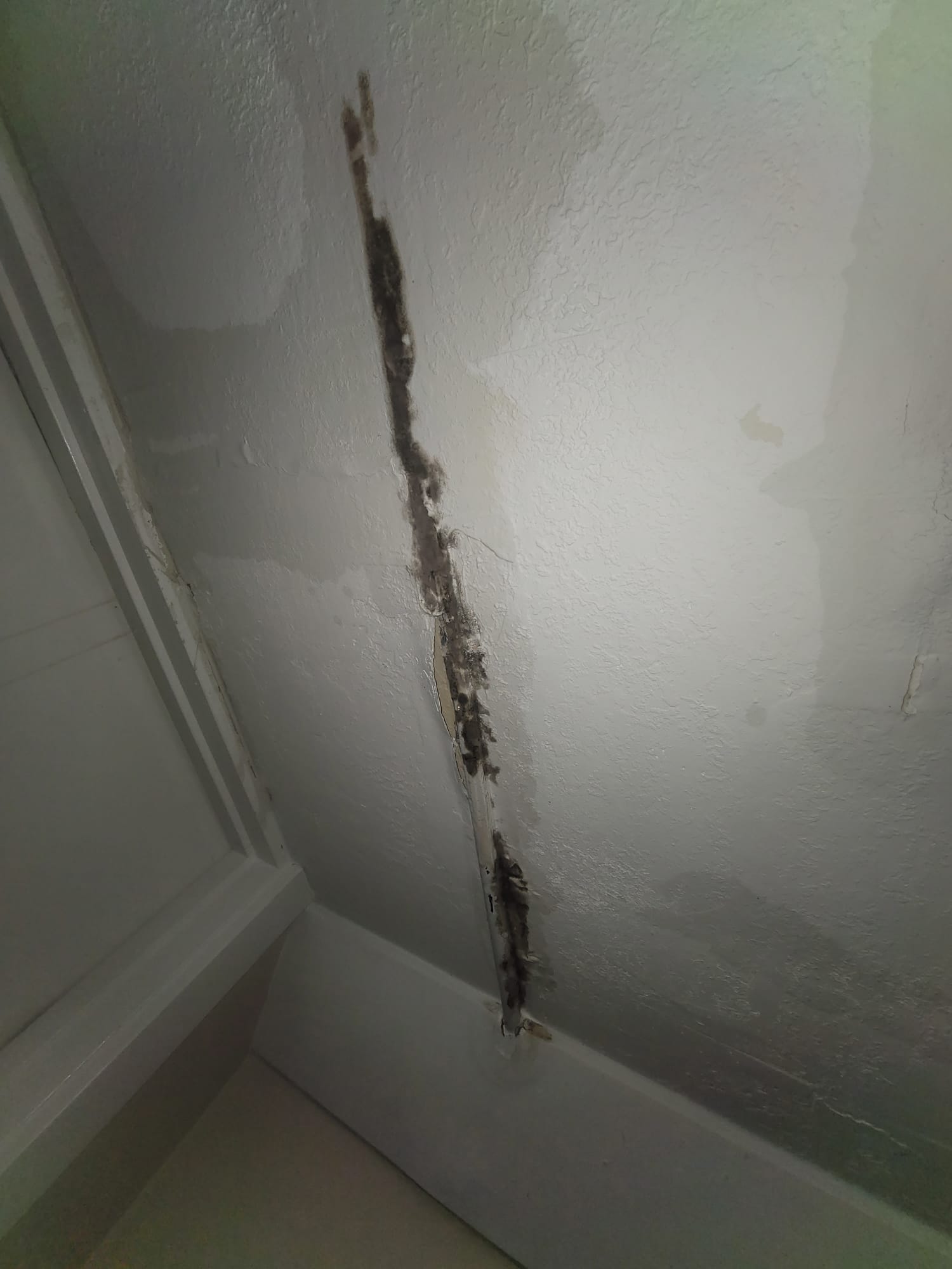 Commercial sewage backup cleanup in Woodland Hills, Utah. Prompt, professional service for sewage tank maintenance and emergency sewage backup cleanup, serving businesses in the Woodland Hills area. Protect your property from sewage damage.