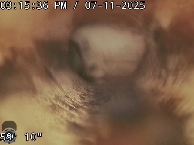 Water softener tank filled with water, highlighting the importance of regular maintenance like coil cleaner application and timely water heater tank replacement to prevent costly issues and ensure optimal water quality and system efficiency.