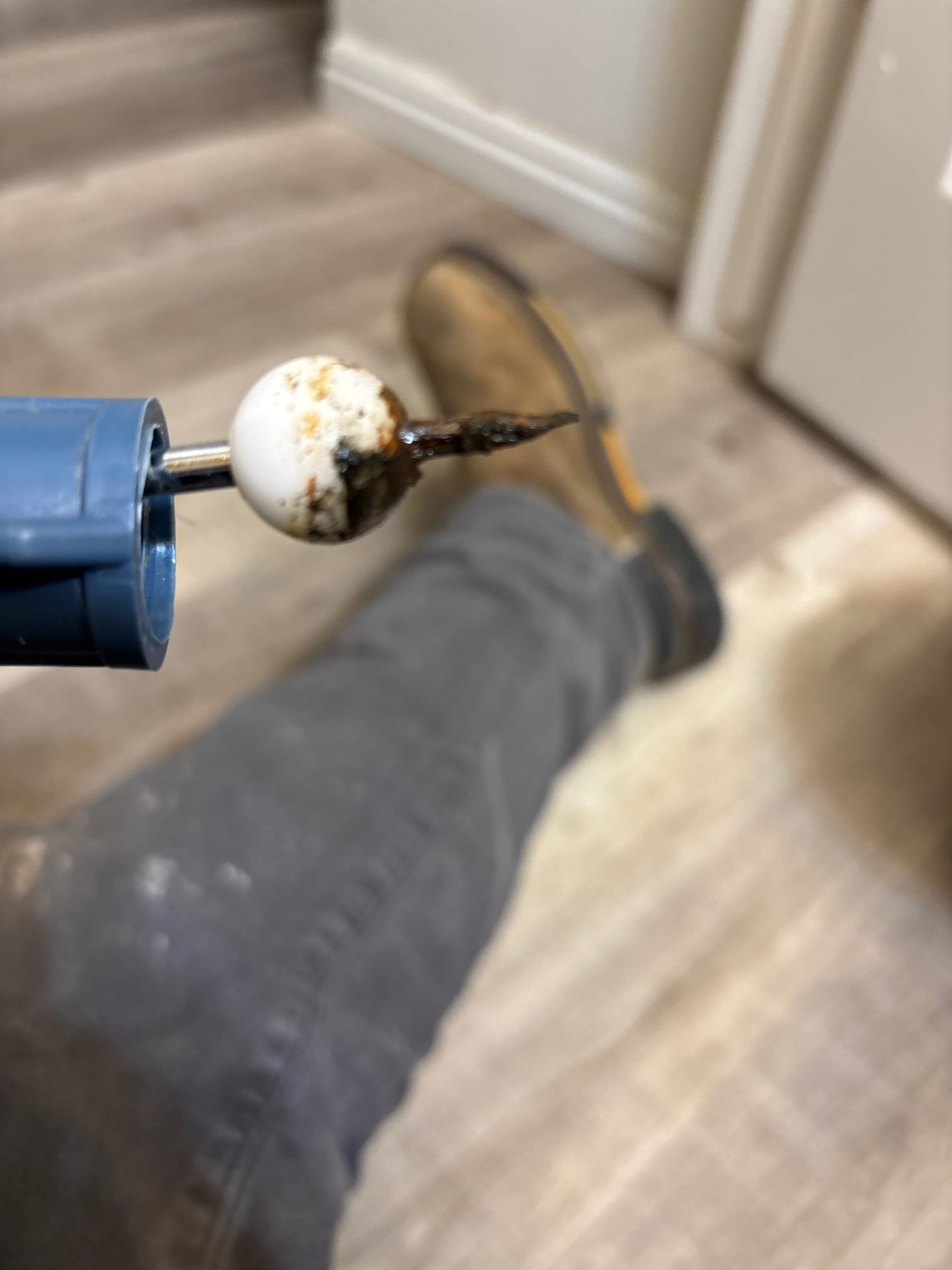 Image depicting septic drain field replacement, highlighting a crucial 'replacement drain' component. The image subtly alludes to the importance of quality parts, similar to 'shower drain replacement parts', for a long-lasting and effective wastewater system.