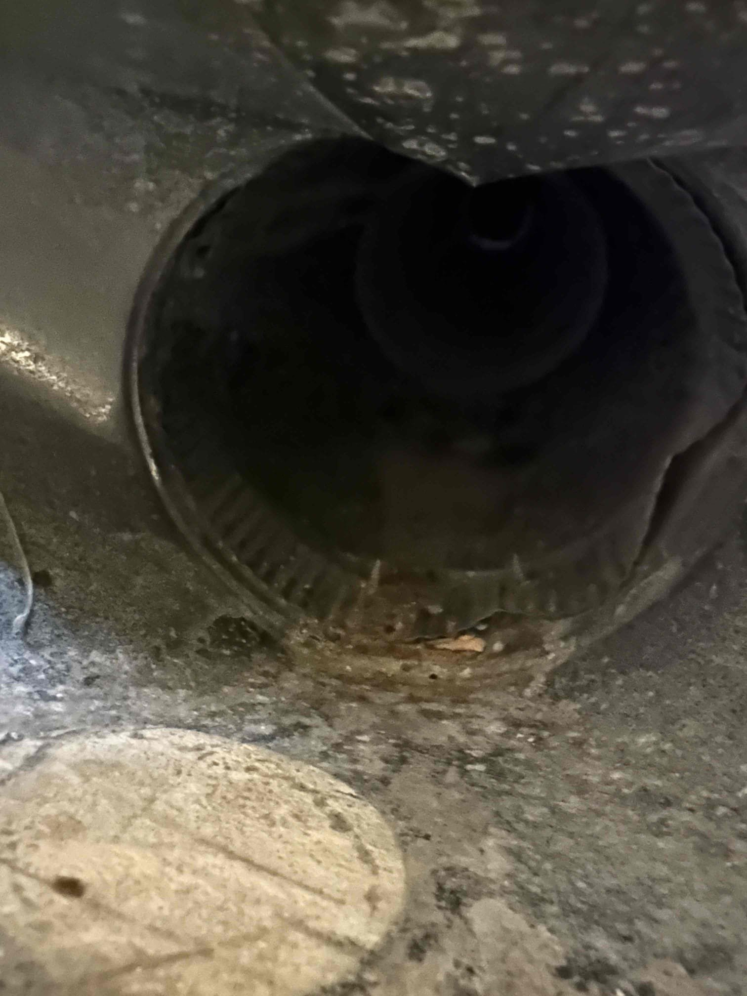 Upholstery mold cleaner effectively removes mold and mildew caused by water damage, restoring furniture and preventing further growth. Ideal for water damage mold clean up, this mold and mildew cleaner helps maintain a healthy, mold-free home.