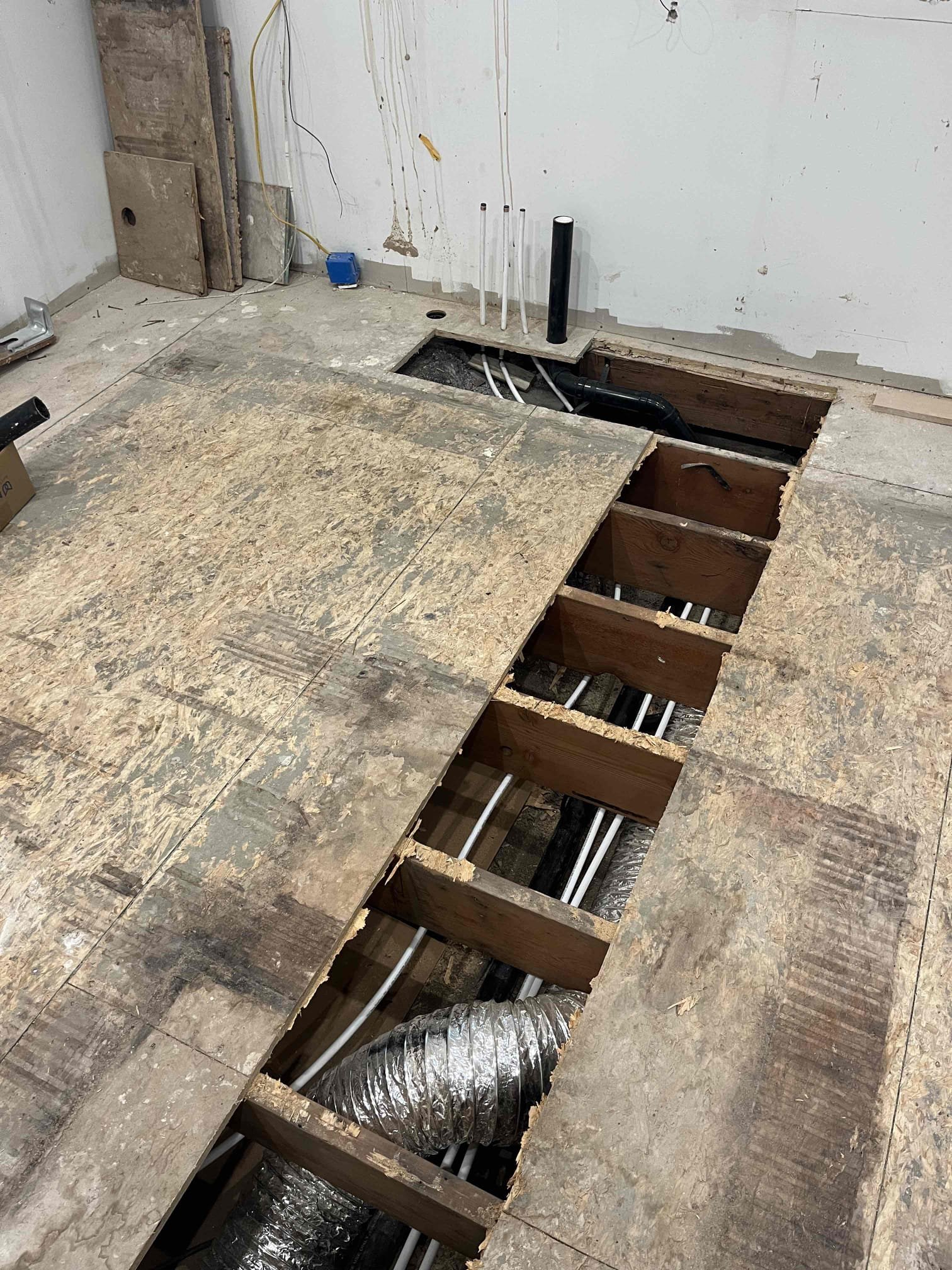 A clean kitchen scene suggesting solutions for household tasks, including fixing a clogged dishwasher to prevent water damage and the importance of upholstery cleaning for a fresh home environment.