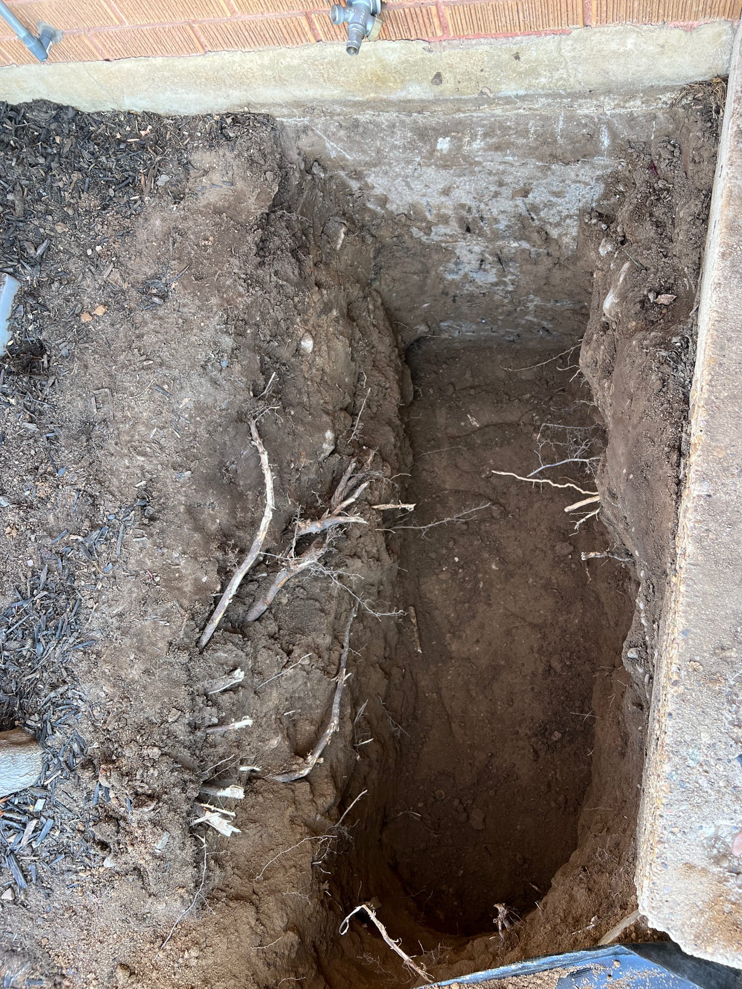 Rhino water filter, essential for basement water damage restoration. Prevents sediment buildup, protecting your home from potential water damage and the need for basement water damage restoration services.