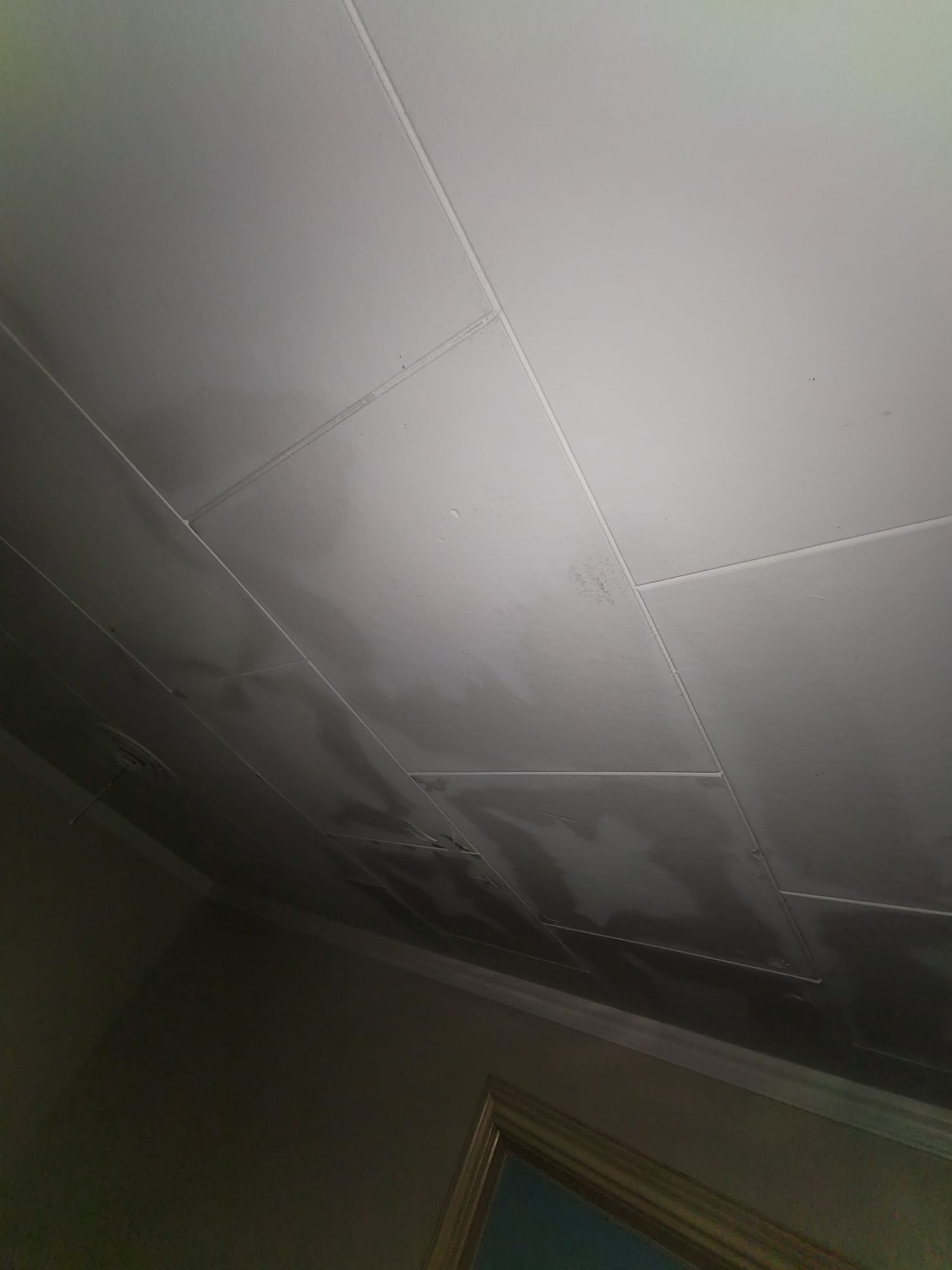 In Lehi, Utah, dealing with commercial sewage backup? Similar to our commercial rug cleaning service, our 'commercial sewage backup cleaning service 5' offers thorough sanitation. We address issues beyond what 'commercial sewage backup cleaning service 2' might cover, ensuring a clean and safe environment for your Lehi business.