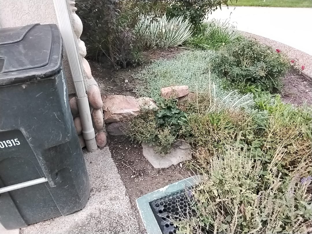 Image depicting signs of storm and disaster damage to a home, indicating the need for residential storm and disaster remediation services. Focus is on affordability and comprehensive service.