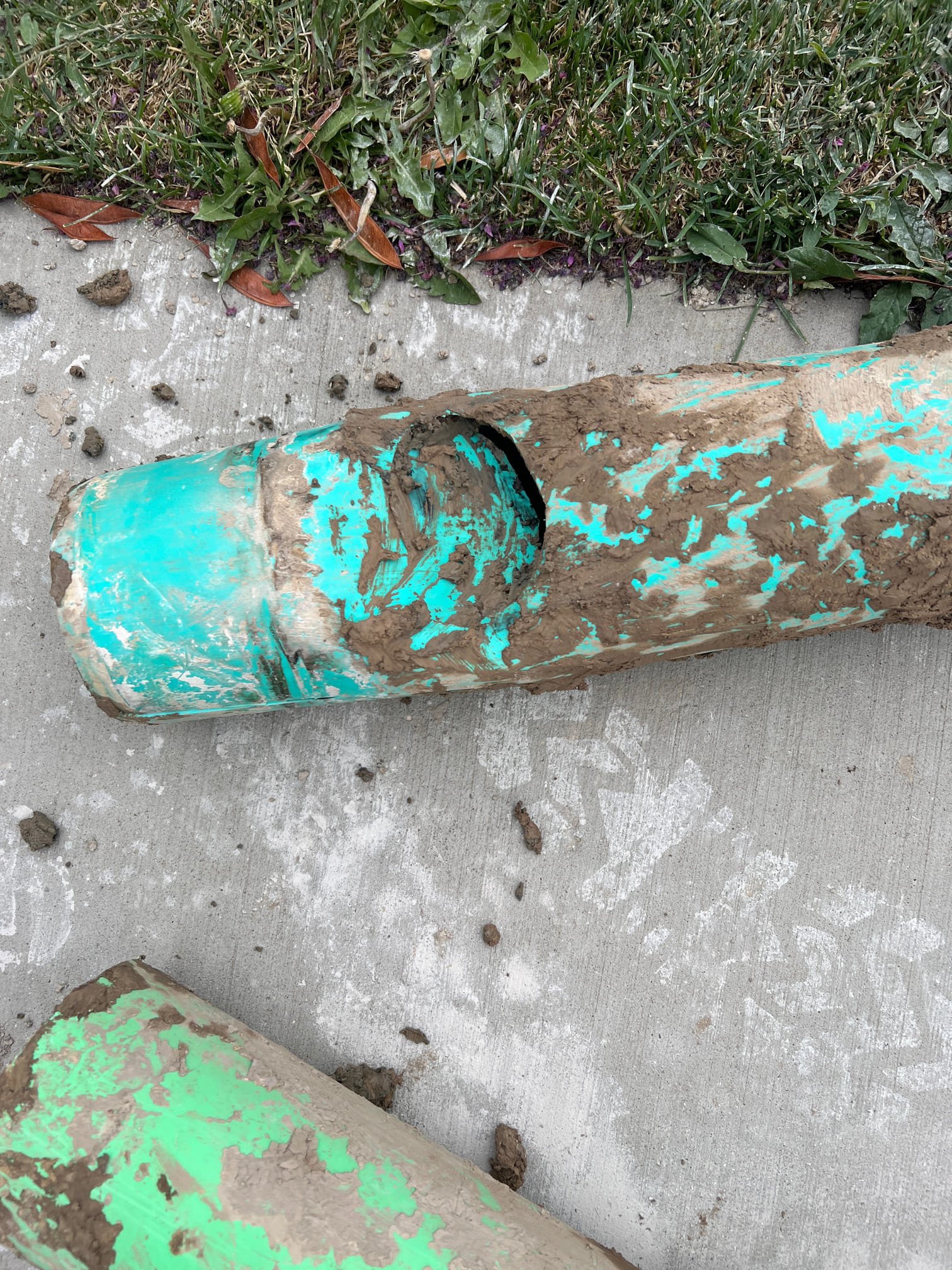 Experiencing sewage gas smell? Image depicts potential issues related to sewage pump repair or a faulty sewage trap. Contact a professional to address sewer line problems and eliminate unpleasant odors.