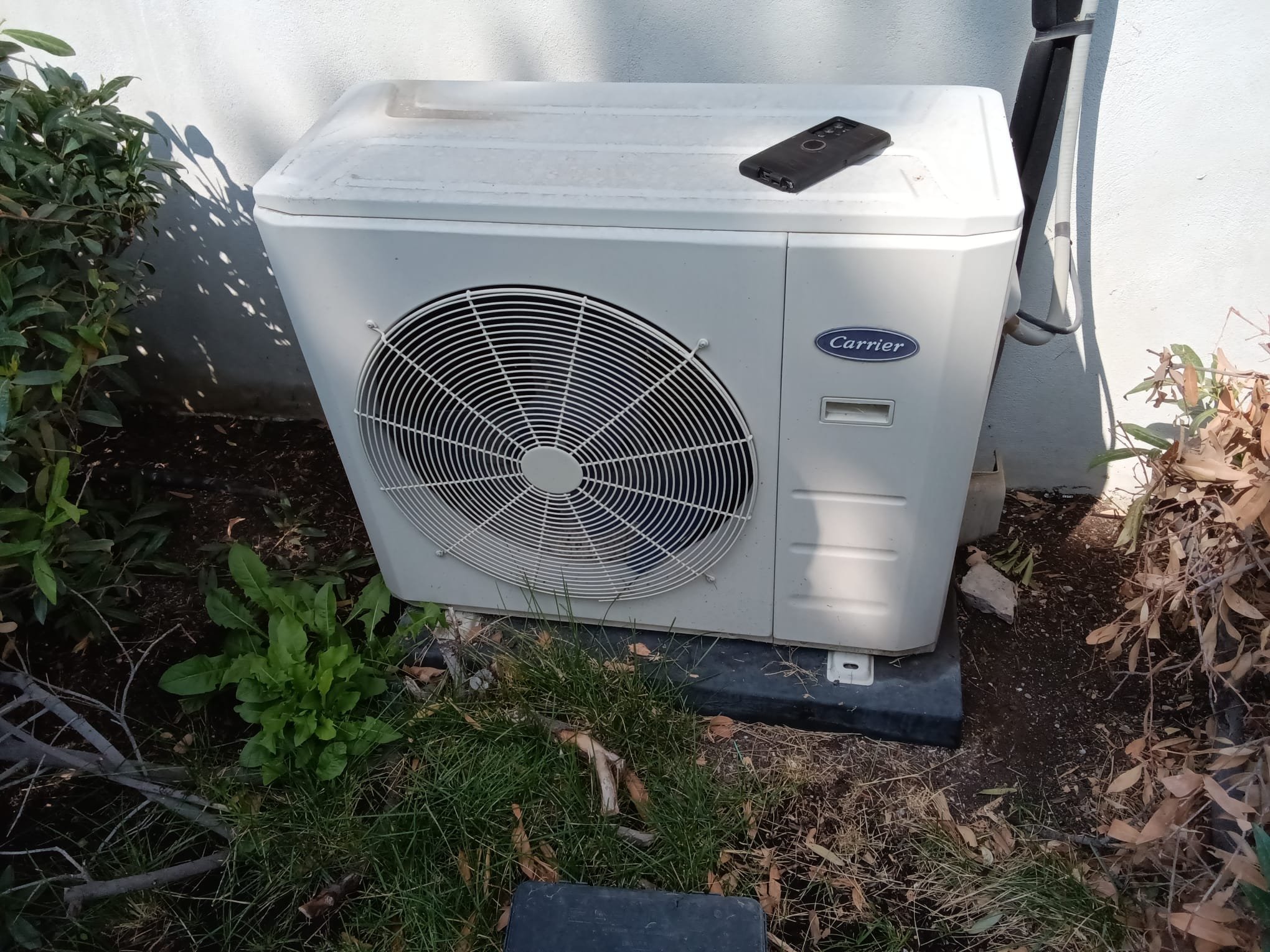Image of an air purifier in a basement setting, suggesting solutions for musty odors and mold concerns. The scene implies addressing mold on basement walls and highlights the use of an air purifier as a key component of basement air quality management. It relates to selecting the best air purifier for basement environments prone to dampness and mold.