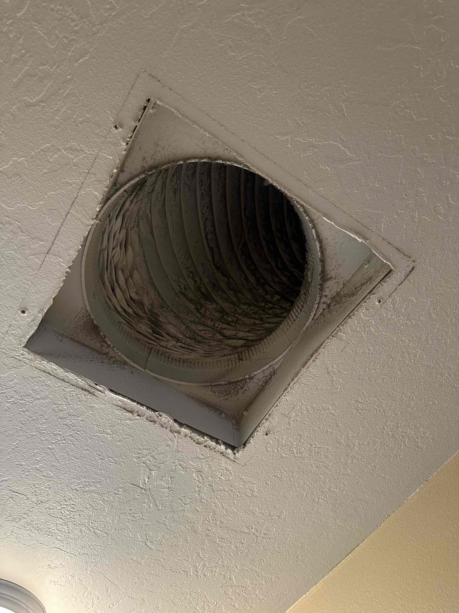 Image depicting commercial mold odor removal services. Focus on the use of HEPA air filters for effective mold spore removal and air purification, highlighting 24-hour availability for urgent commercial mold remediation needs.