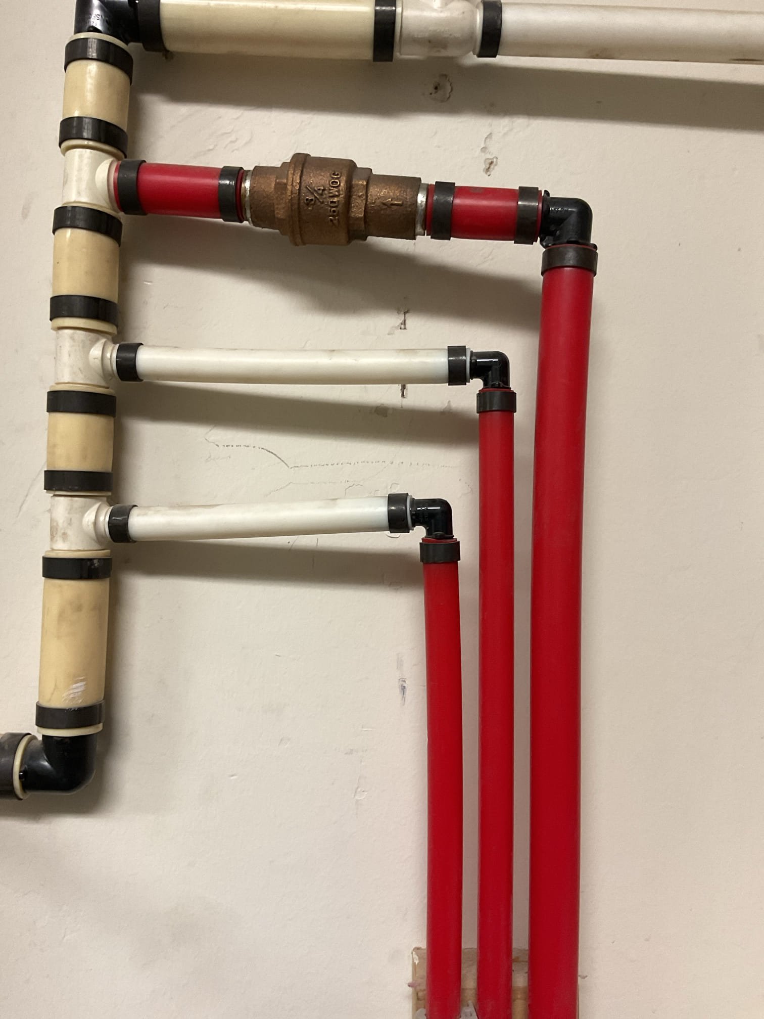 Image depicting mold damage, a common concern when considering insurance coverage for mold remediation. Addressing mold issues often requires a licensed commercial mold damage specialist.