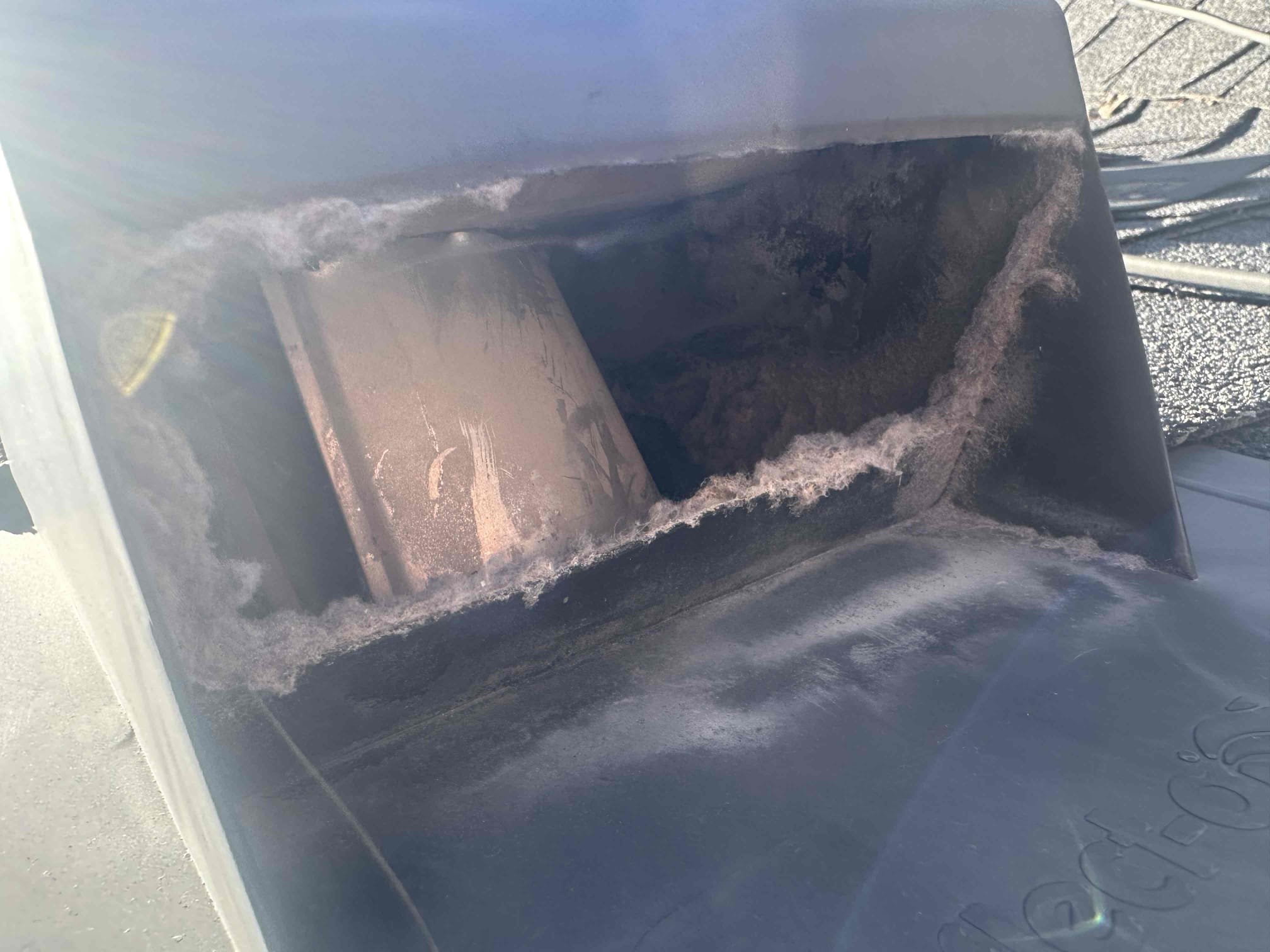 Local rug cleaners help eliminate odors and pollutants trapped in carpets, similar to how a kitchen smoke filter or an air purifier for weed smoke cleans the air, creating a fresher, healthier home environment.