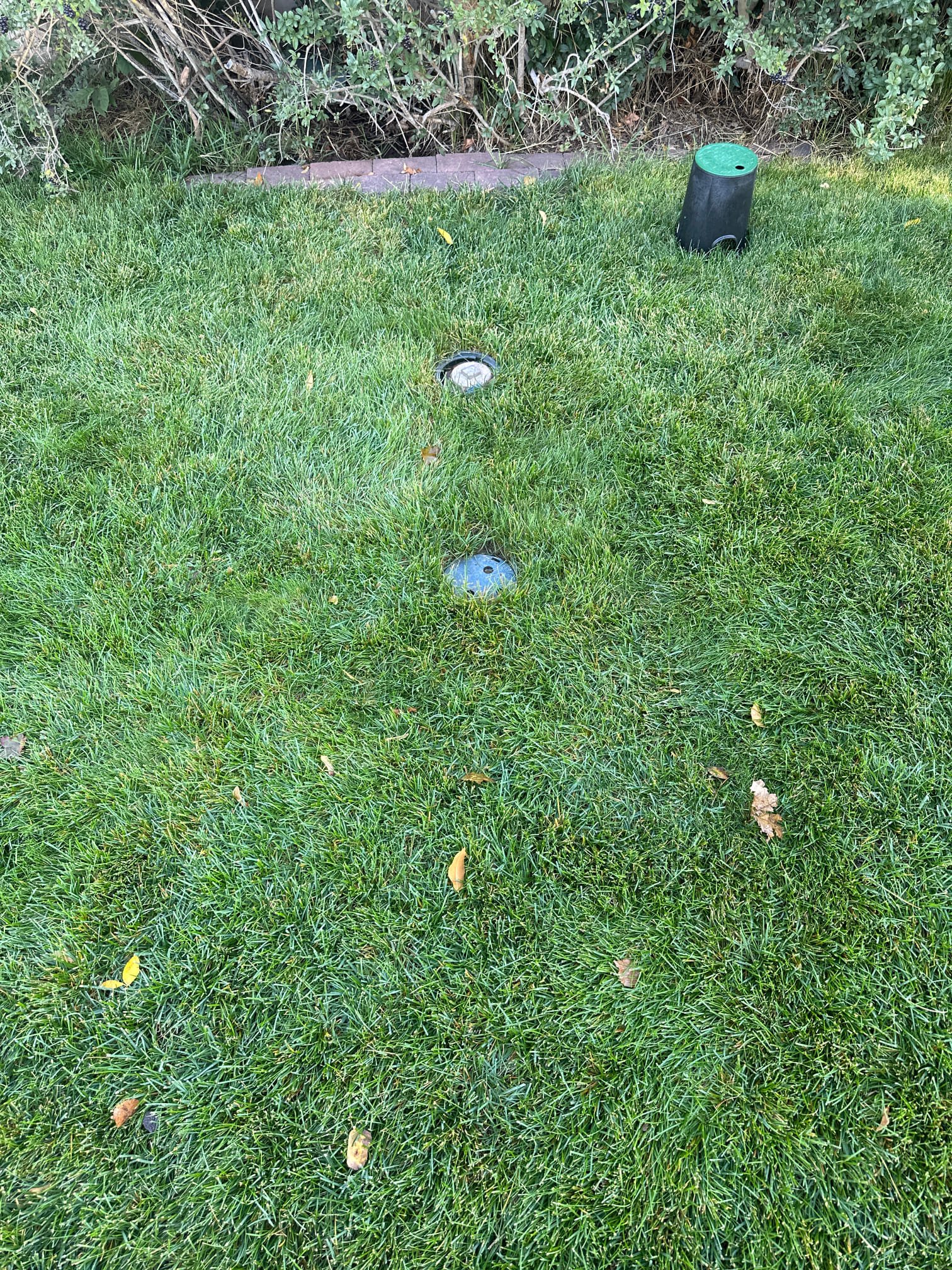 Damp, musty basement with visible signs of water damage. Focus on water removal and odor elimination for a healthier home environment. Addressing flooded basement issues and maintenance for odor removal.