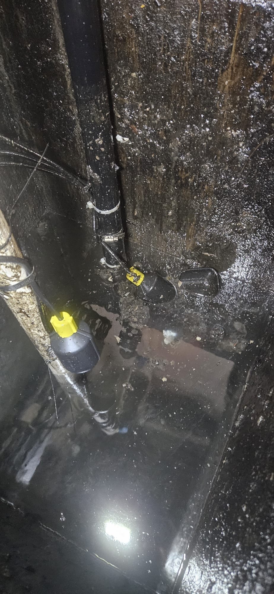 Worried about sewer backups? This image represents the urgency of a 24-hour plumber responding to a flooded basement, highlighting the importance of residential sewer maintenance services to prevent costly damage. Check your homeowner's insurance policy to see if sewer backup is covered.